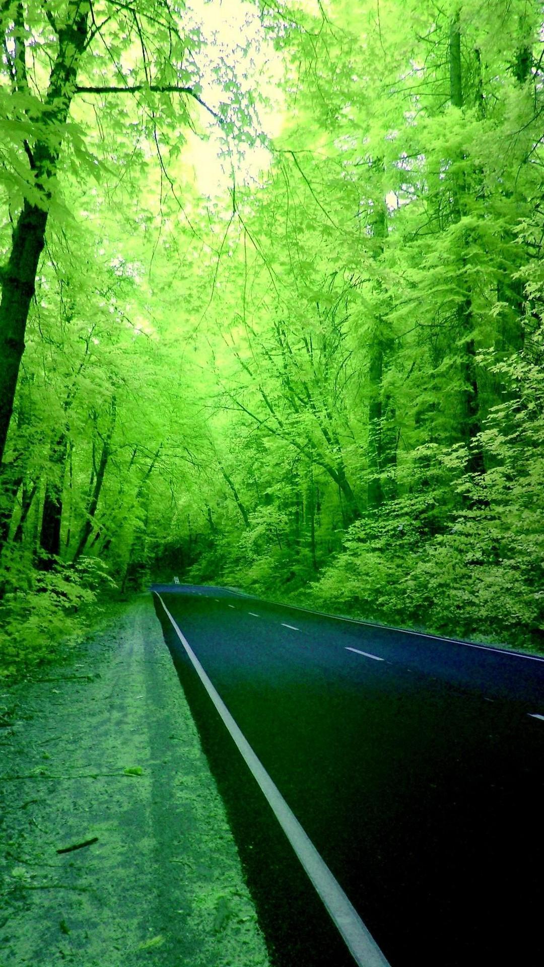 1080x1920 Green Nature iPhone Wallpaper