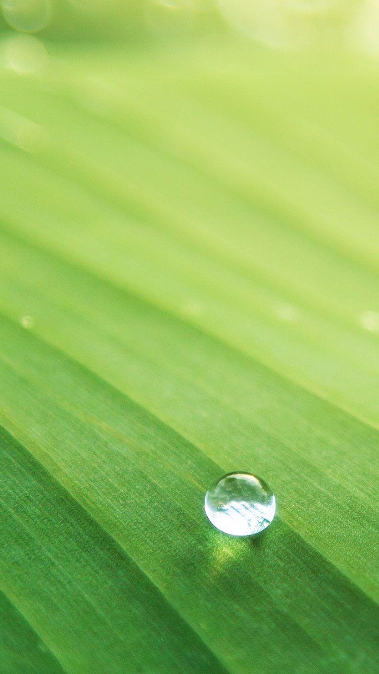 750x1334 New Best iPhone 6 & 7 Wallpaper / Background in HD Quality