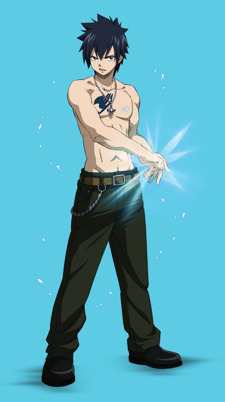 719x1280 Gray Fairy Tail wallpaper