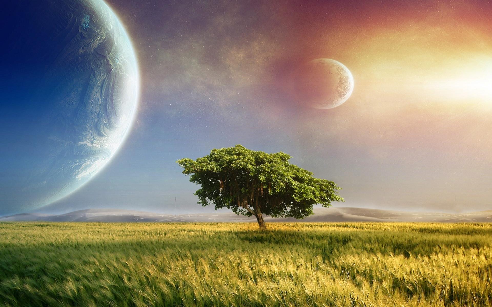 1920x1200 Field Tree & Magical Planets wallpaper. Field Tree & Magical Planets