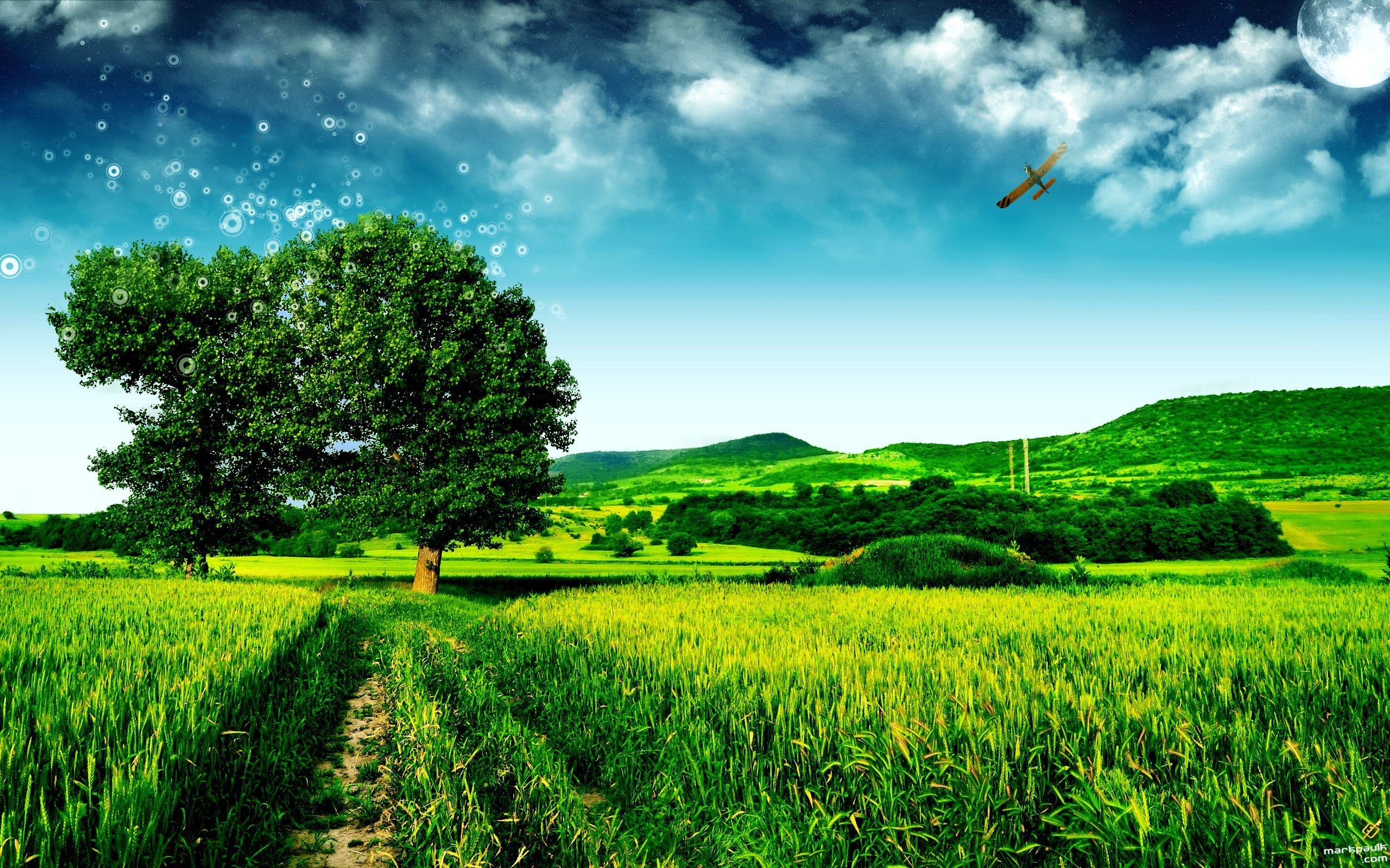2560x1600 Magical Green Wallpaper