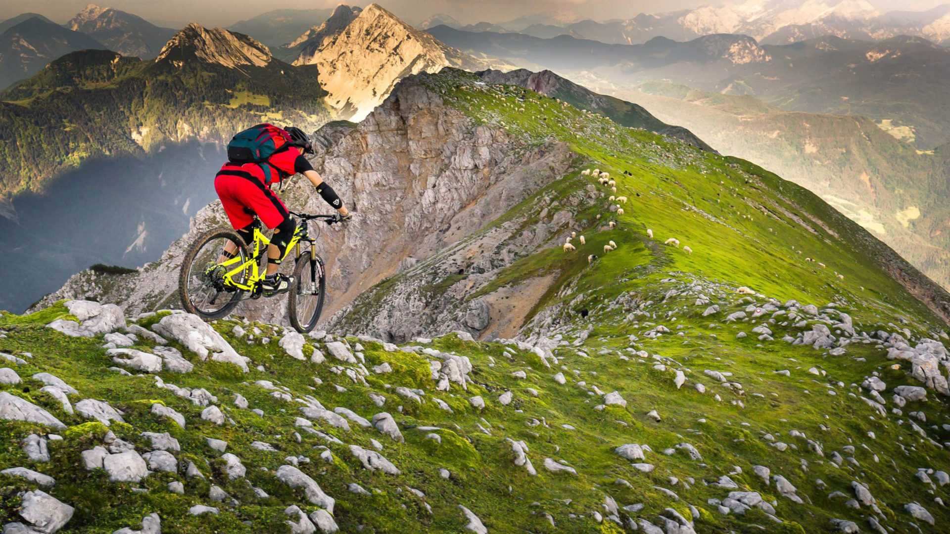 1920x1080 HD Mountain Bike Wallpaper Free HD Wallpaper