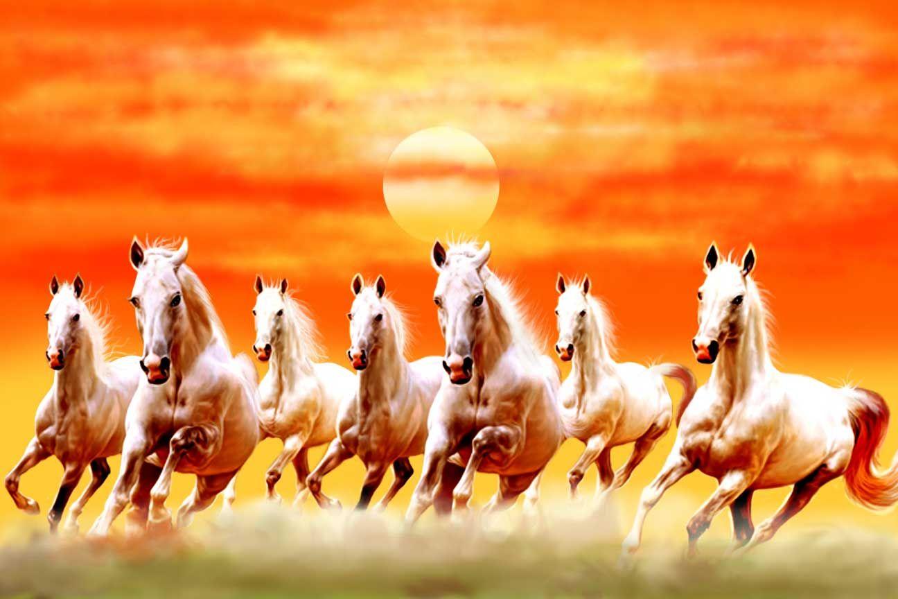 7 Running Horses Wallpapers Top Free 7 Running Horses Backgrounds