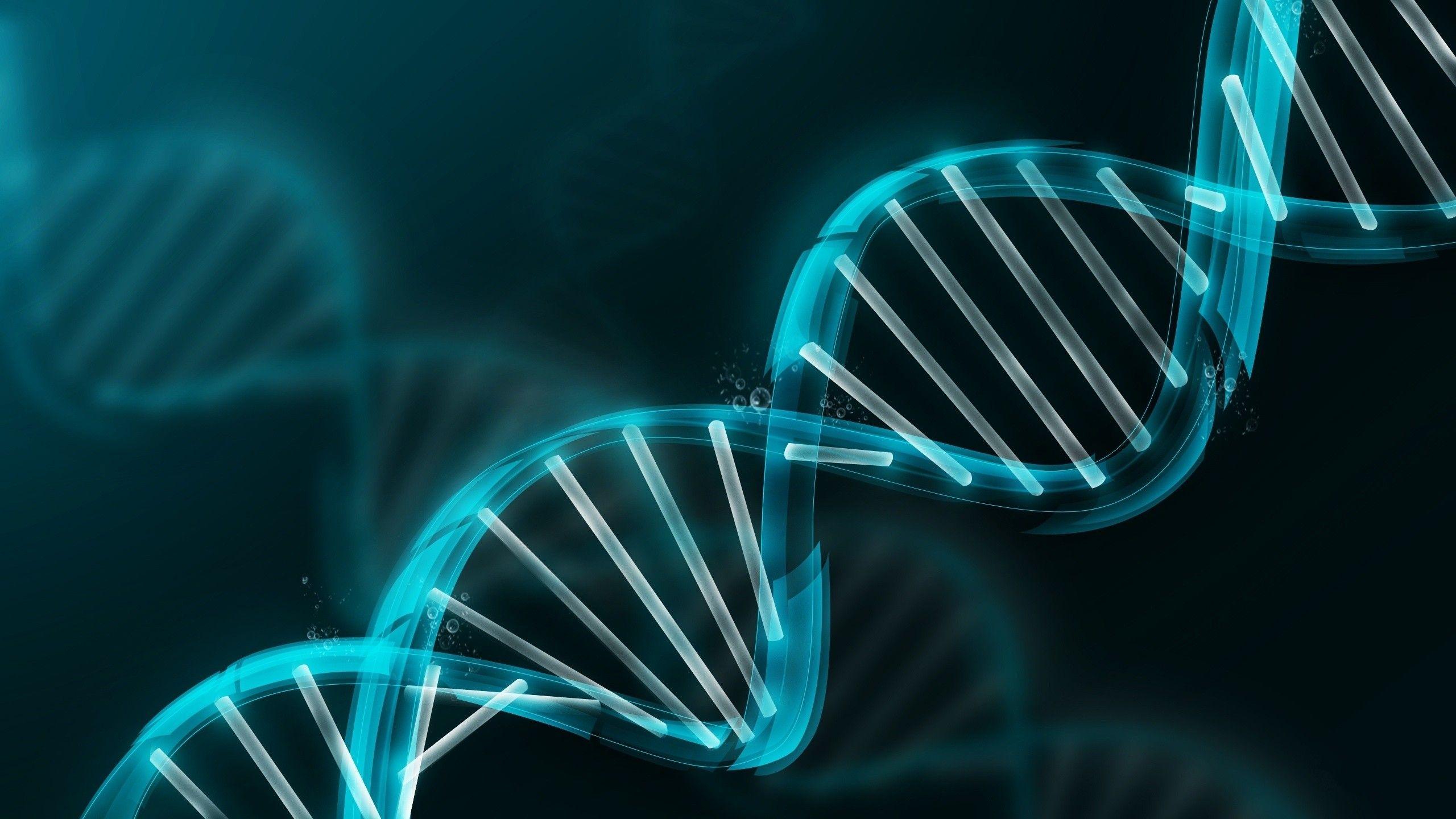 2560x1440 Abstract Molecule Dna 2560×1440 Hd Wallpaper