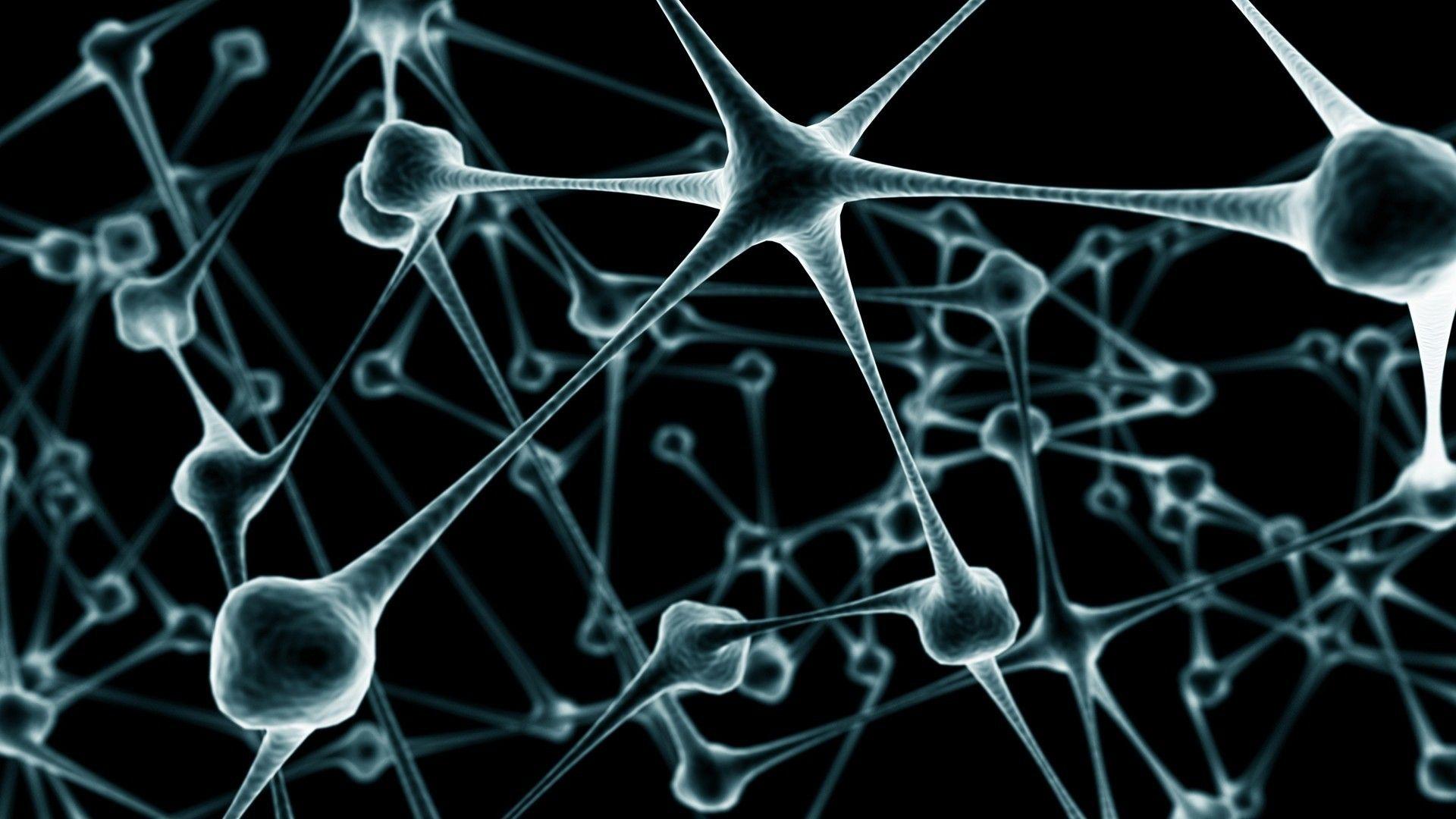 1920x1080 Biology Wallpaper background picture