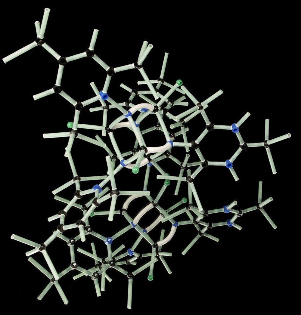 1000x1047 Biology Picture [HD]. Download Free Image