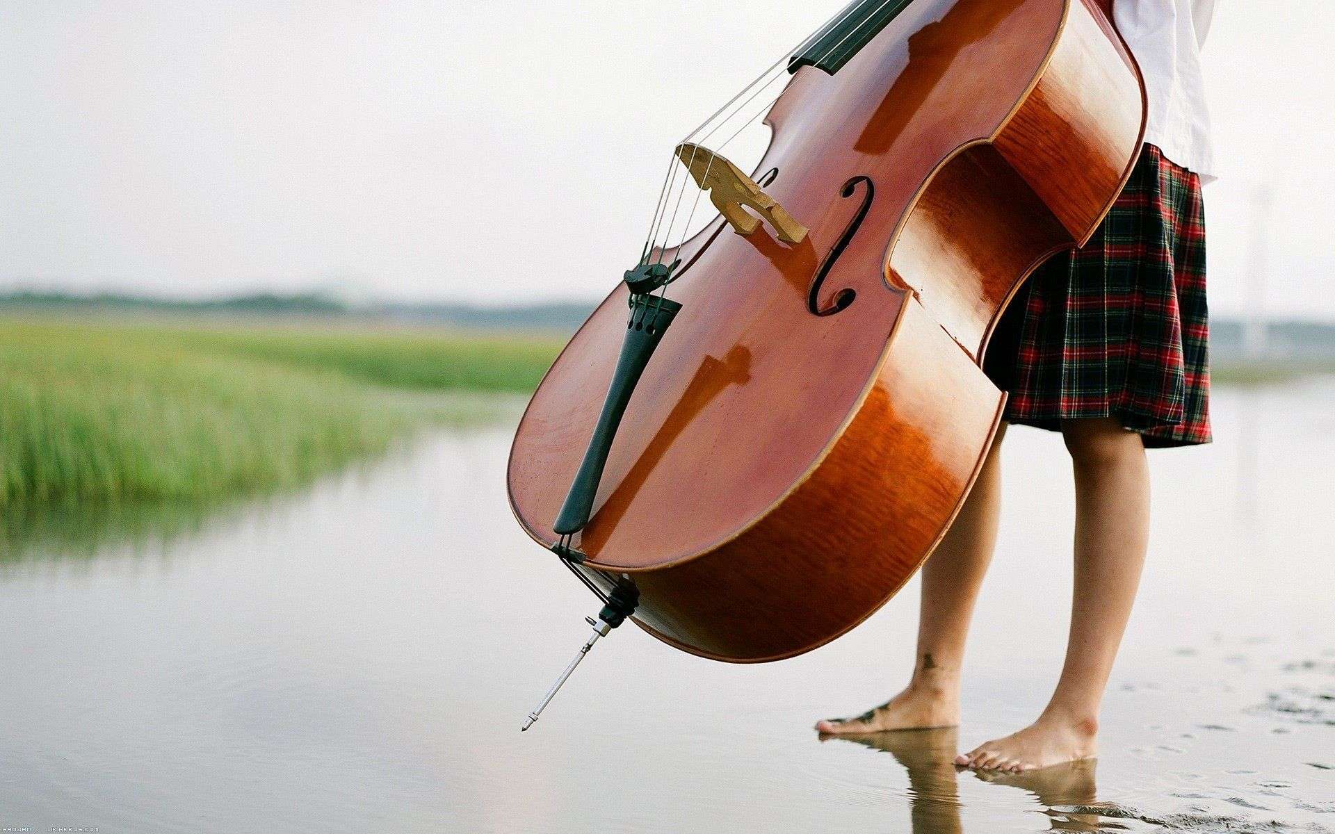 1920x1200 Free download Double Bass HD Wallpaper [1920x1200] for your Desktop, Mobile & Tablet. Explore Double Bass Wallpaper. Double Bass Wallpaper, Double Desktop Wallpaper, Double Helix Wallpaper