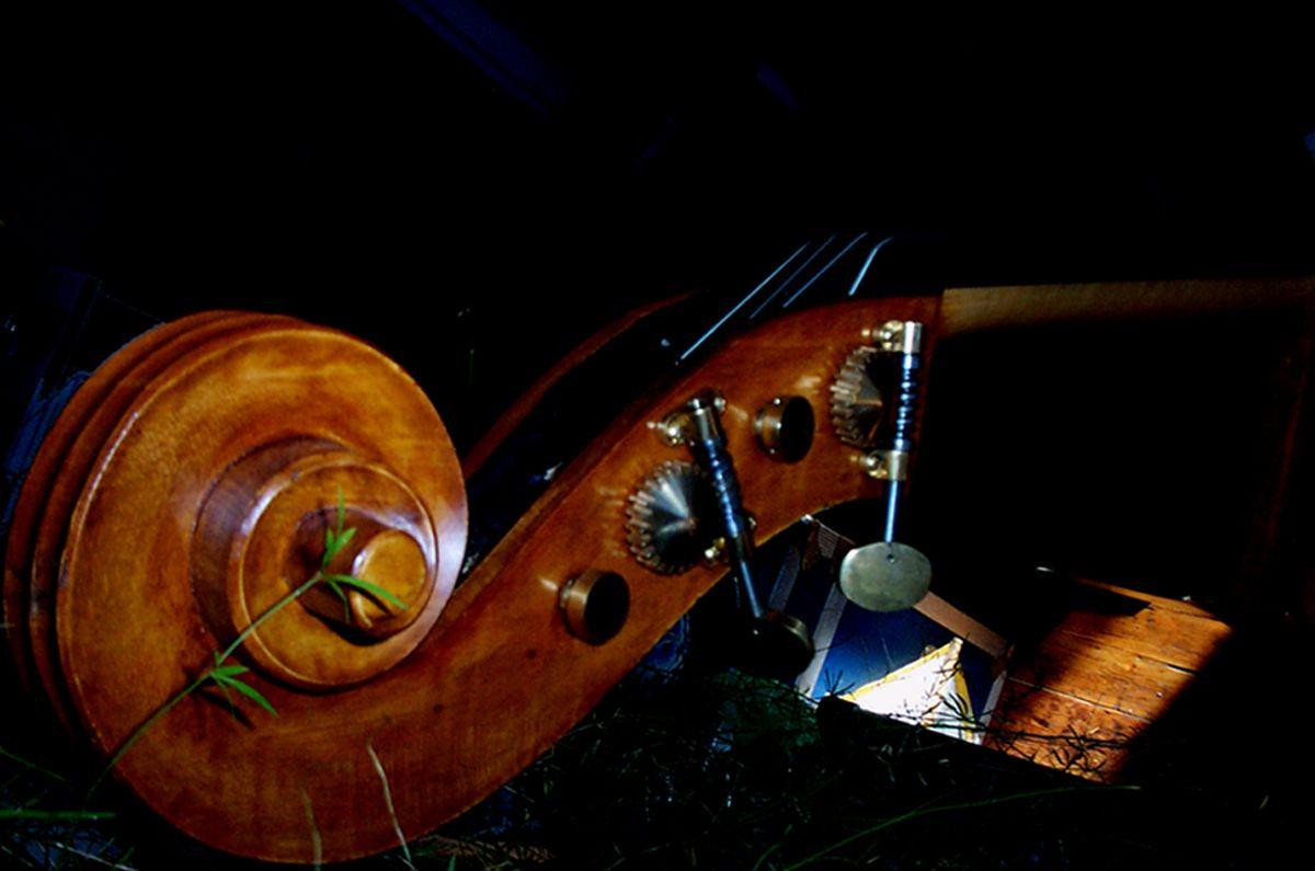 1200x795 Free download Upright Bass Wallpaper The Image Kid [1200x795] for your Desktop, Mobile & Tablet. Explore Double Bass Wallpaper. Double Bass Wallpaper, Double Desktop Wallpaper, Double Helix Wallpaper