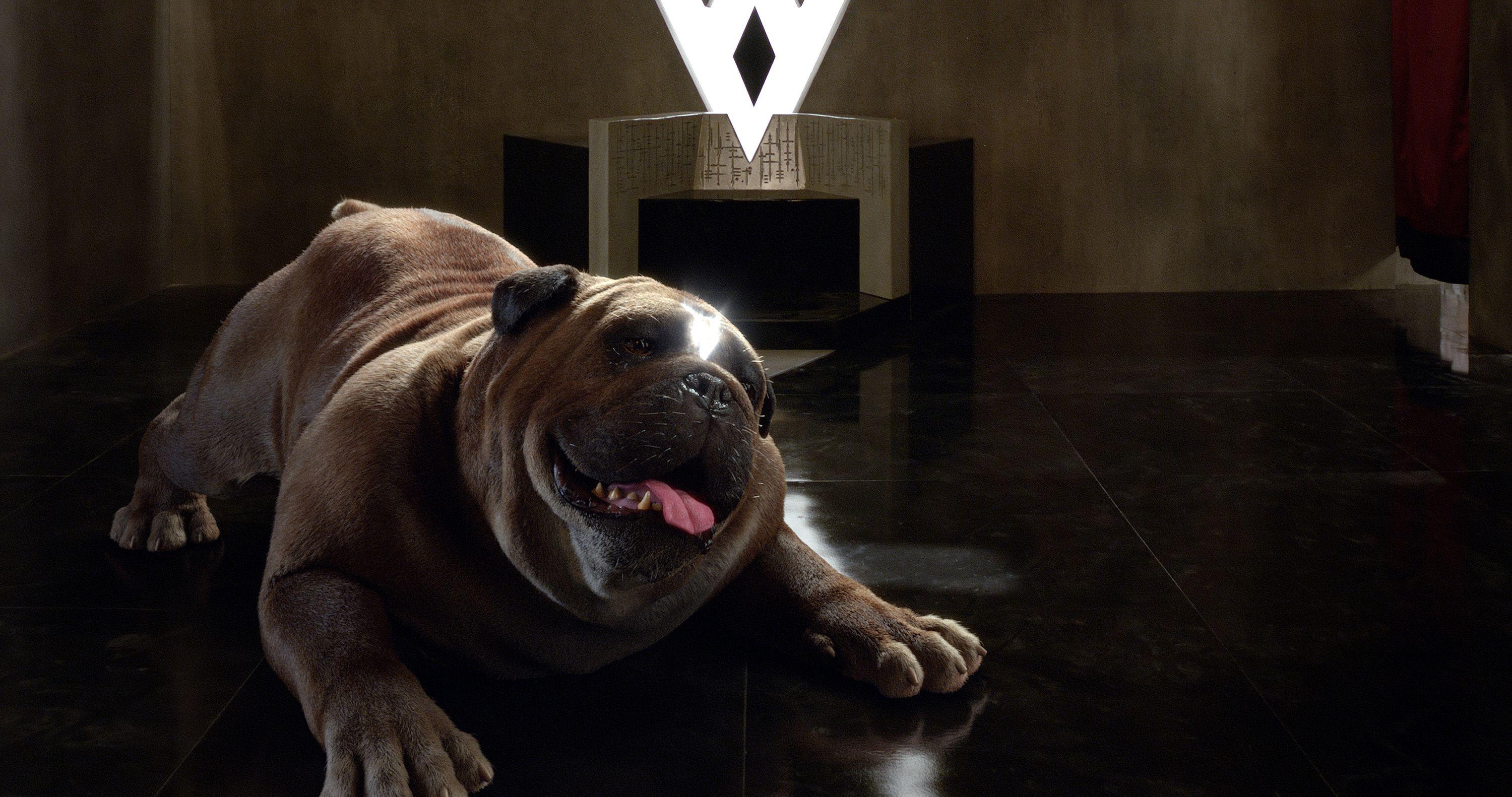 3000x1582 Lockjaw Inhumans Tv Series iPad Air HD 4k Wallpaper, Image, Background, Photo and Picture