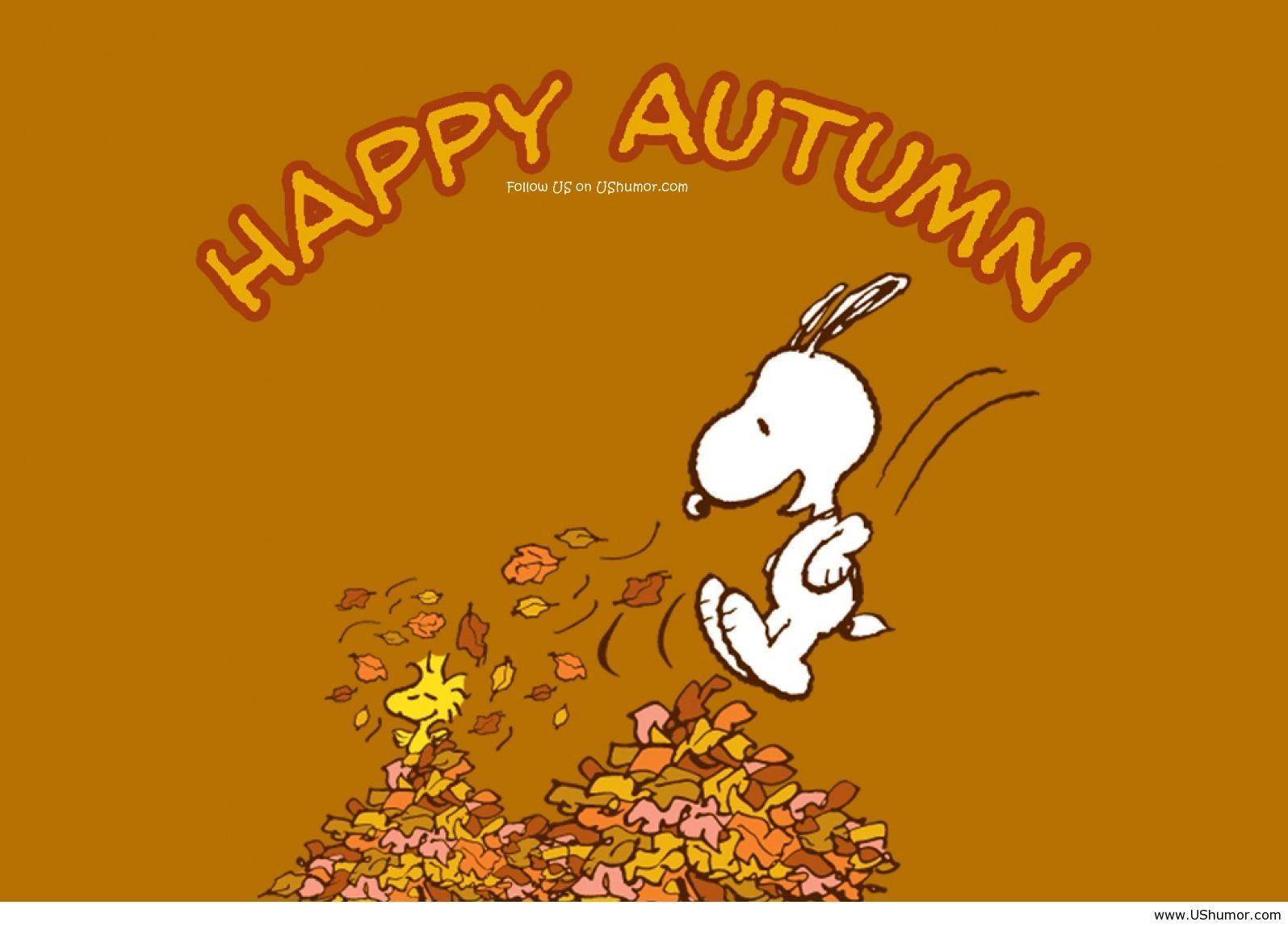 1595x1147 Autumn Peanuts Wallpaper