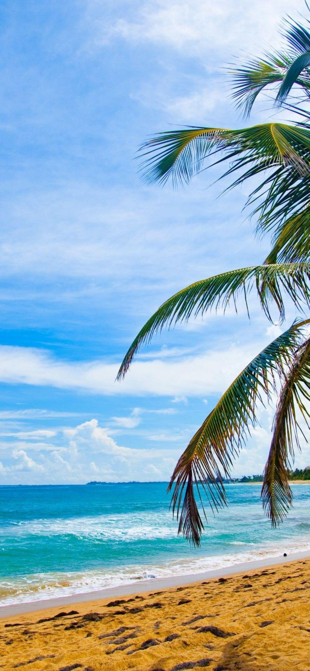 1242x2688 iPhone 7 Puerto Rico Wallpaper iPhone