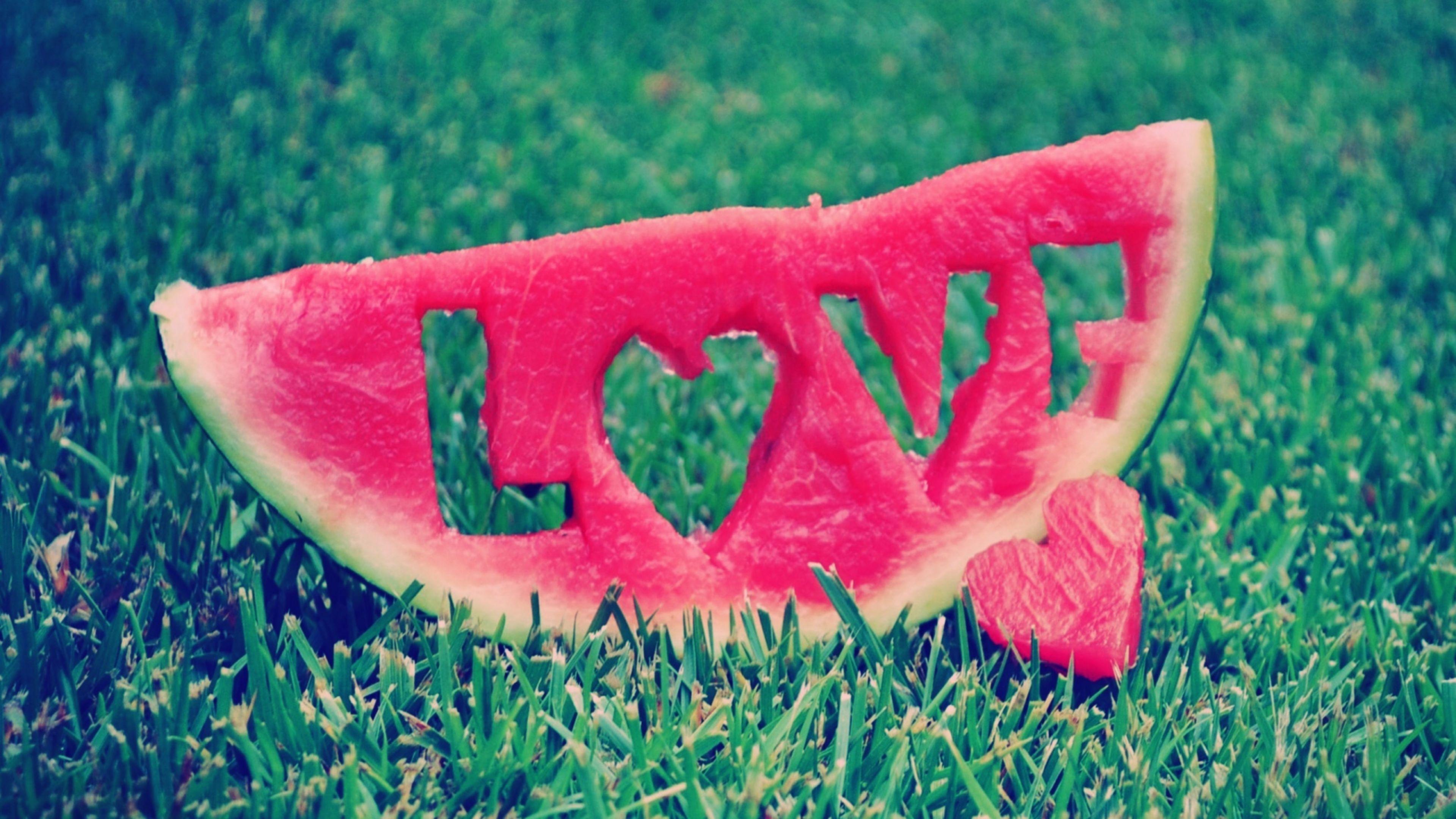3840x2160 Watermelon 4K wallpaper for your desktop or mobile screen free and easy to download