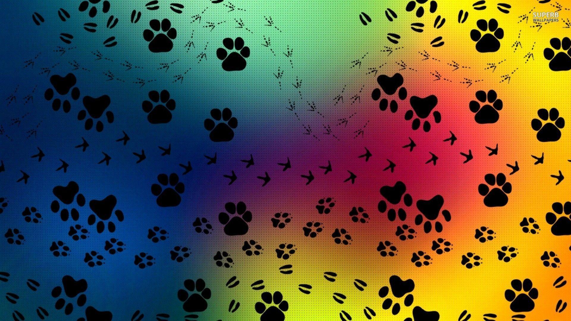 1920x1080 Paw Wallpaper