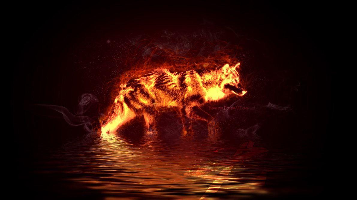 1191x670 Cool Fire Wolf Wallpaper
