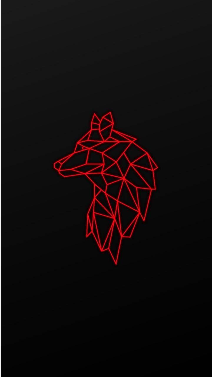 720x1280 Download Wolf Wallpaper HD By Talharana1305. Wallpaper
