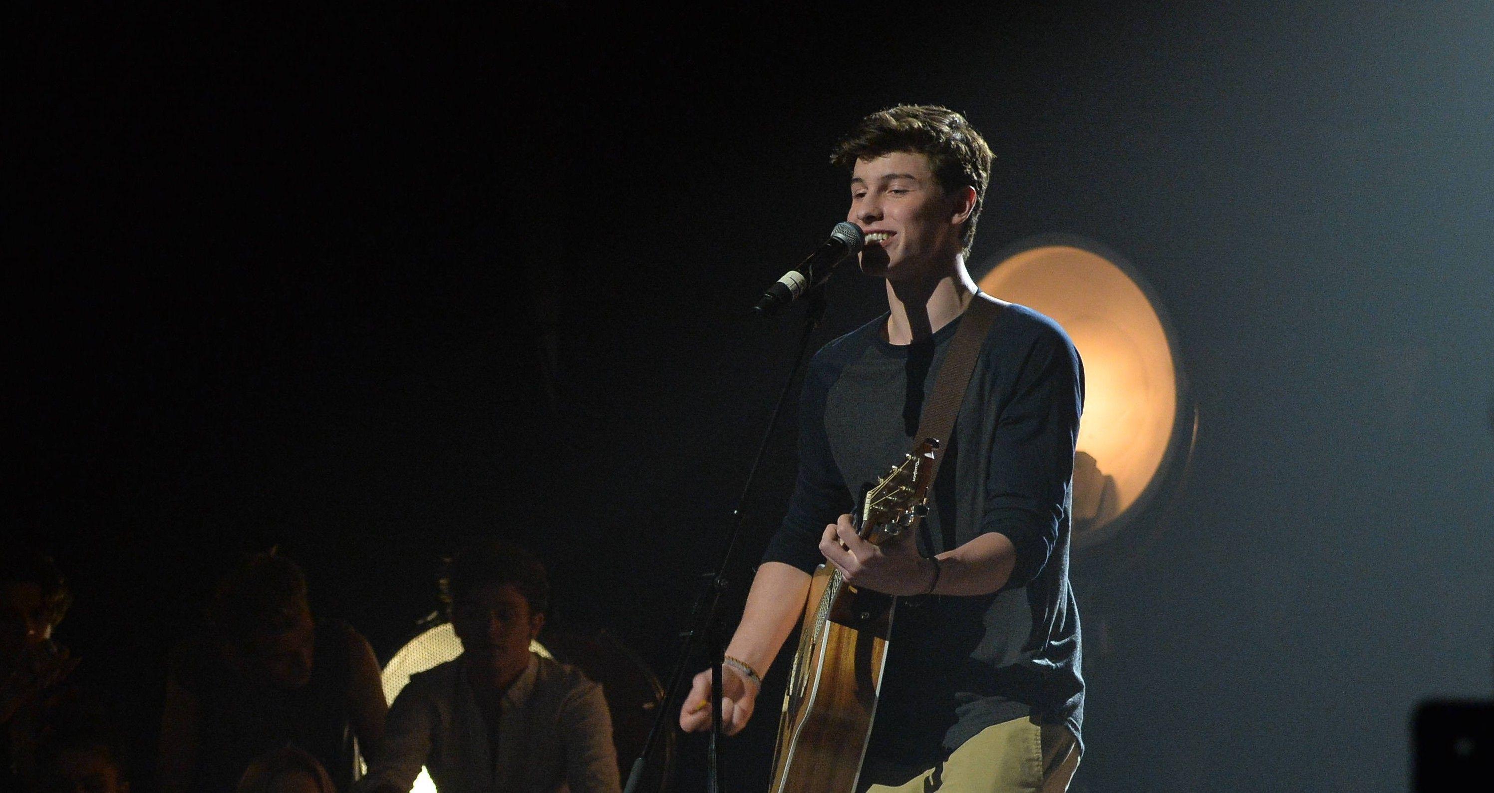 2993x1589 Shawn Mendes Laptop Wallpaper