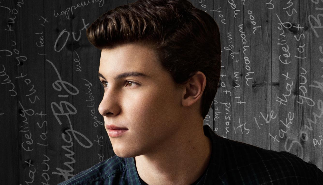 1336x768 shawn mendes, actor, profile HD Laptop Wallpaper, HD Man 4K Wallpaper