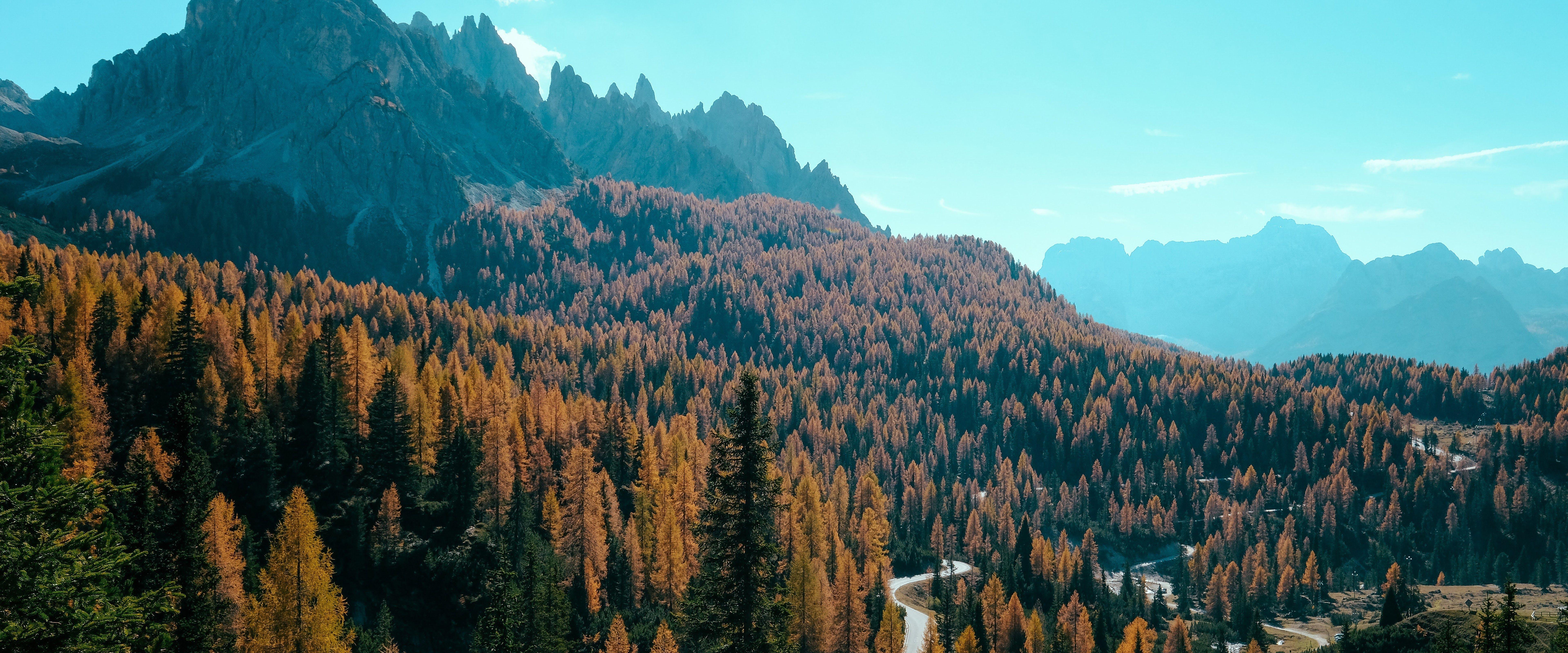 7680x3200 Forest Autumn Mountain Forest 8K Wallpaper