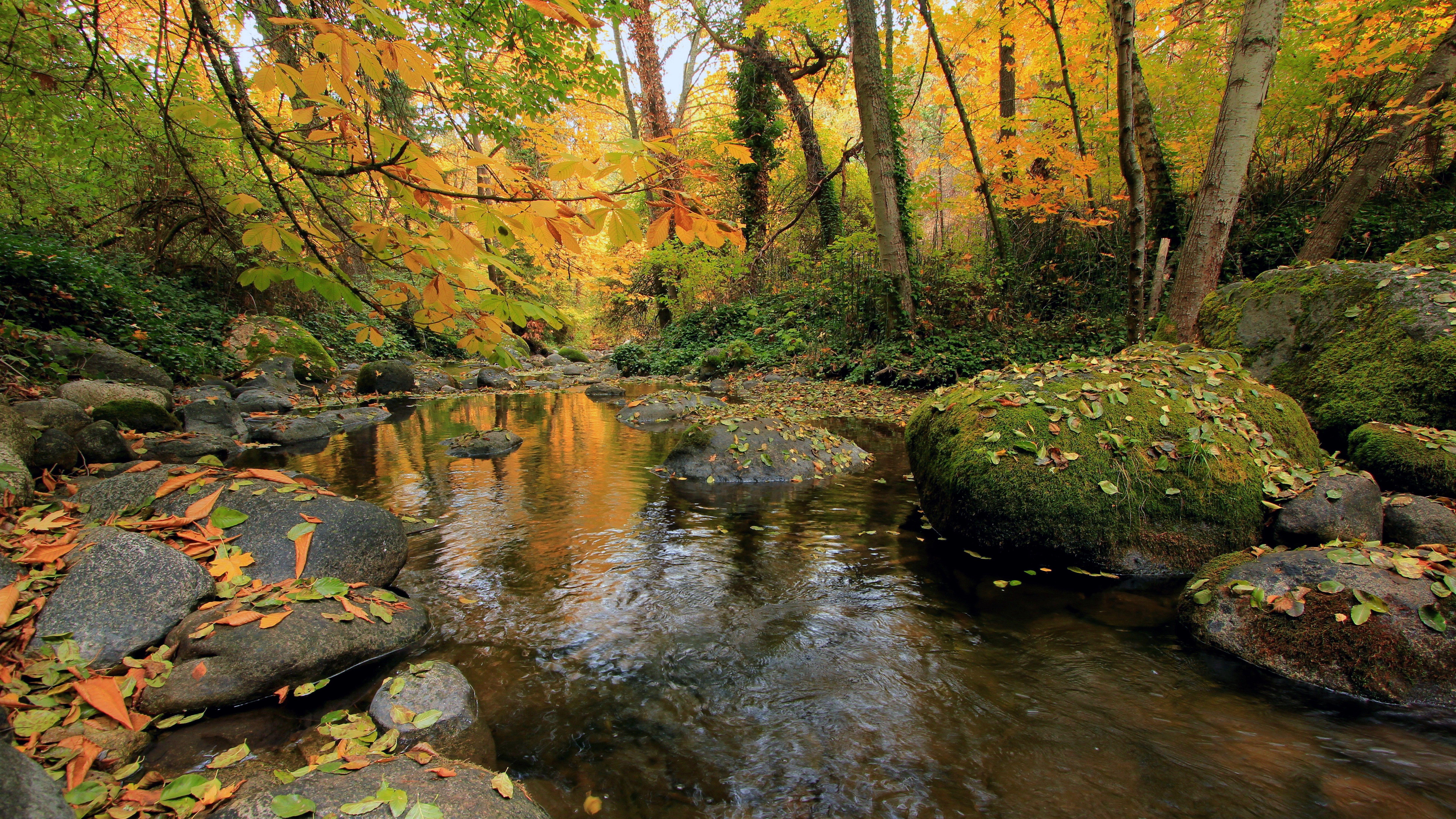 7680x4320 ultra HD 8k resolution 7680x4320 nature K #wallpaper #hdwallpaper #desktop. Nature, Nature tree, Wallpaper