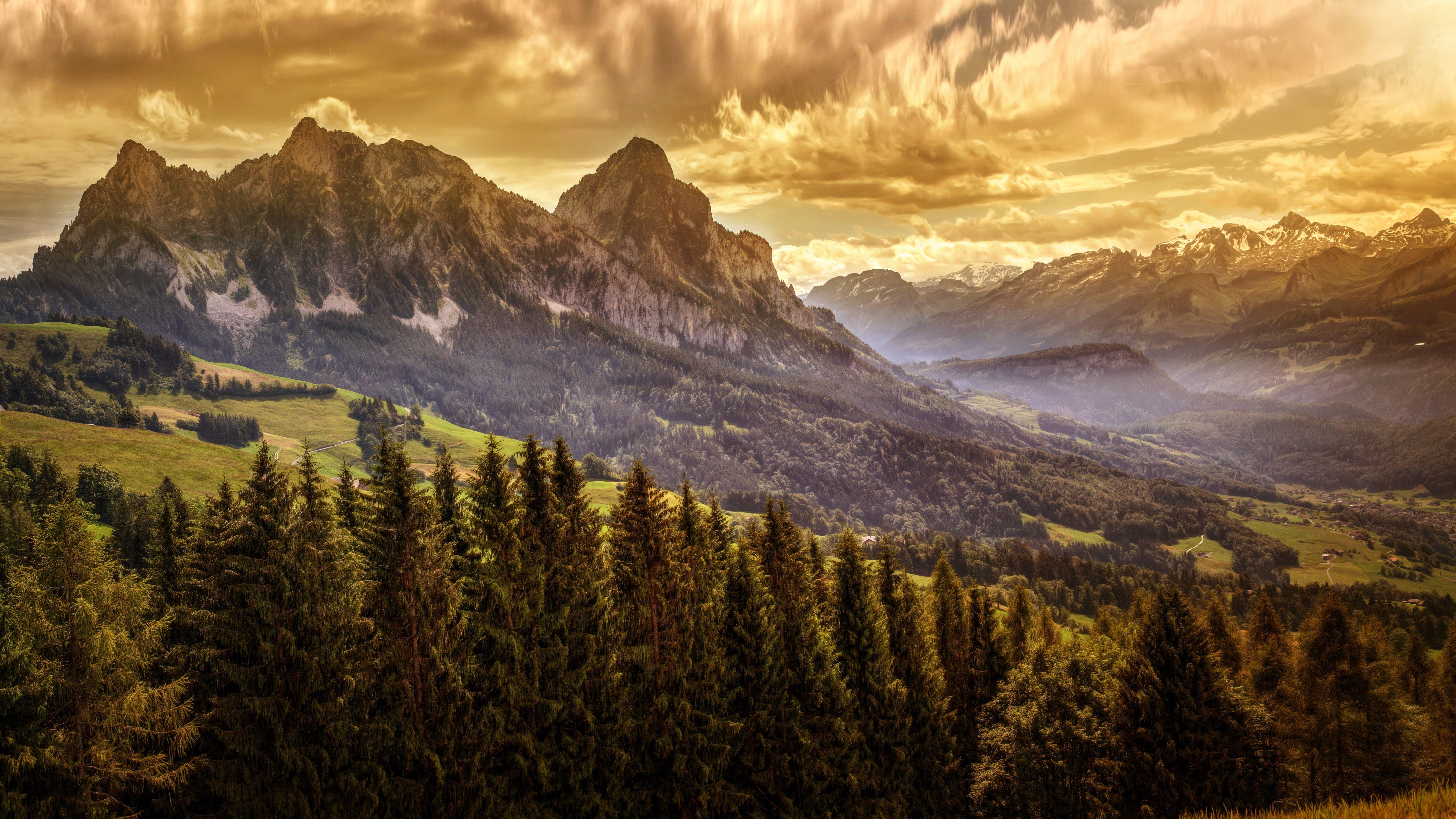 7680x4320 8k forest HD wallpaper, Background
