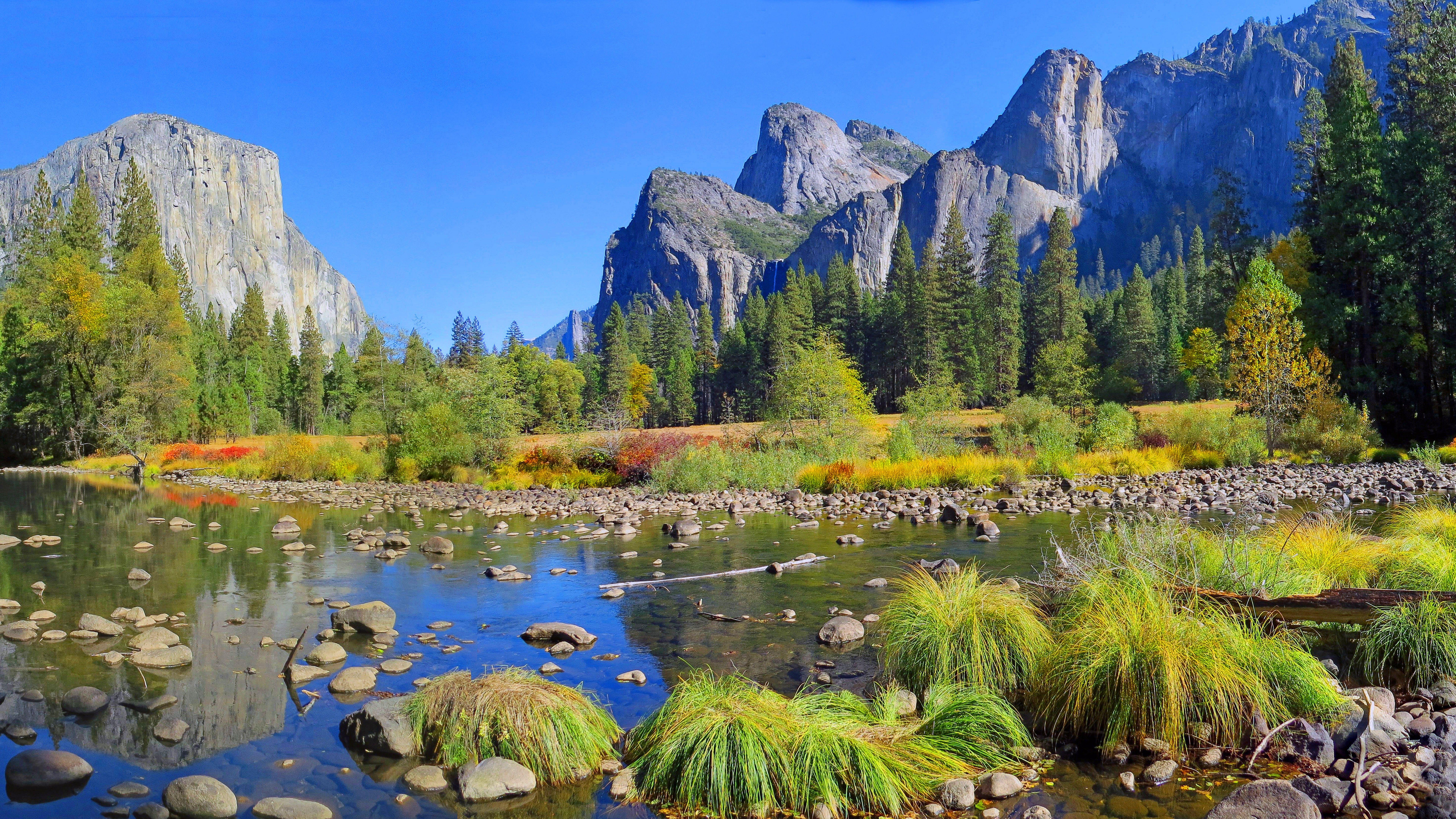 7680x4320 Wallpaper Yosemite, 5k, 4k wallpaper, 8k, forest, OSX, apple, mountains, Nature