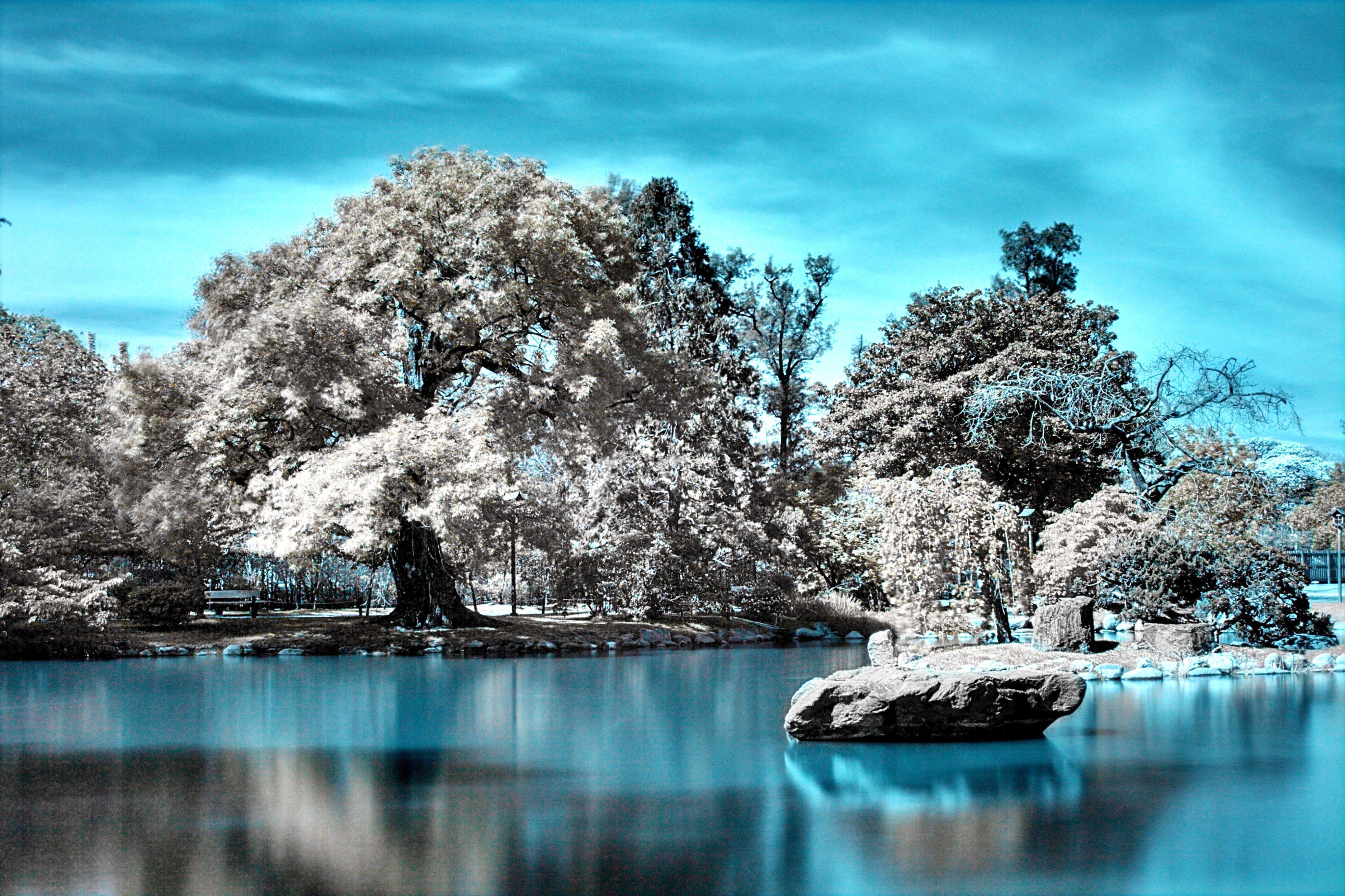 Infrared Wallpapers - Top Free Infrared Backgrounds - WallpaperAccess