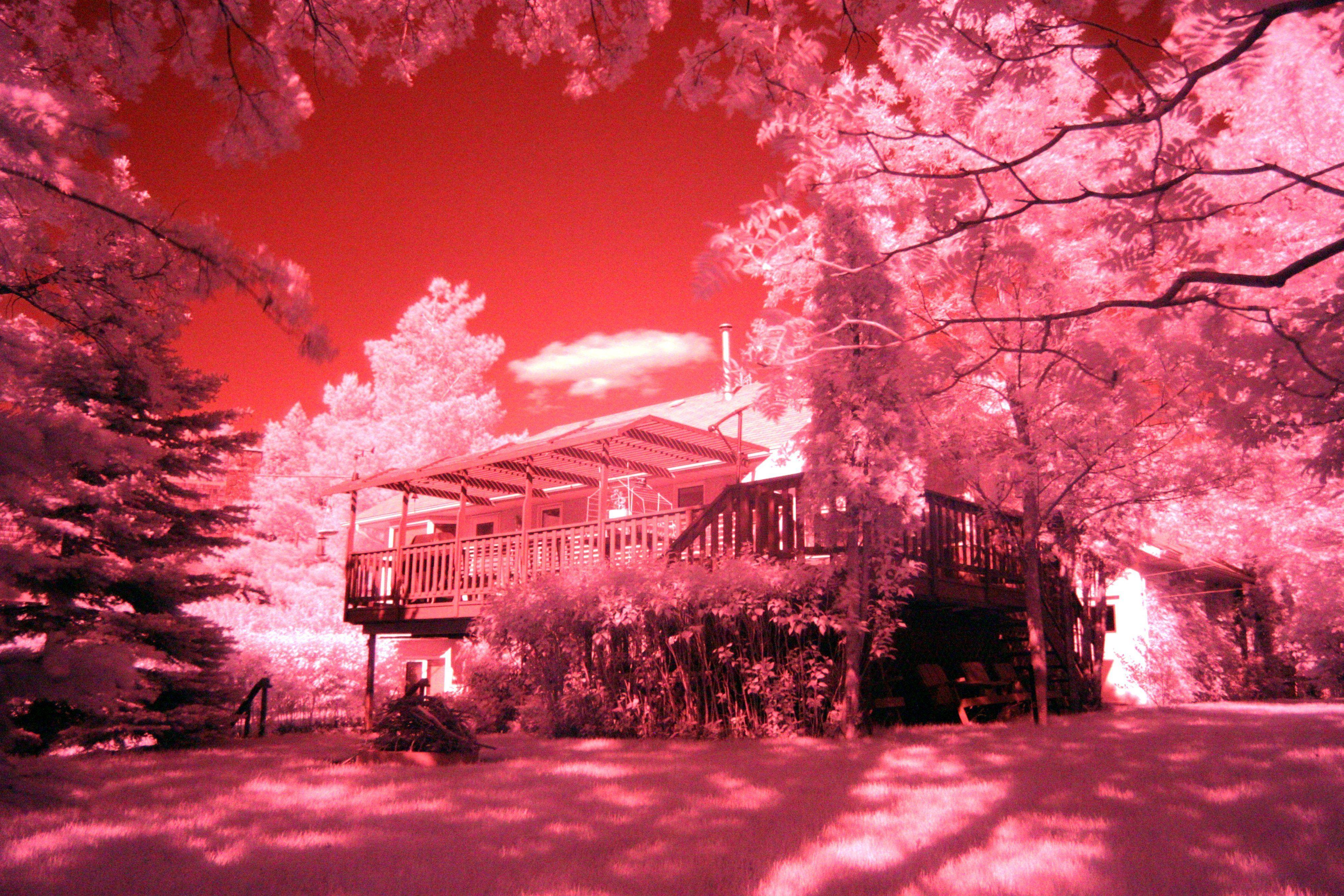 Infrared Wallpapers - Top Free Infrared Backgrounds - WallpaperAccess