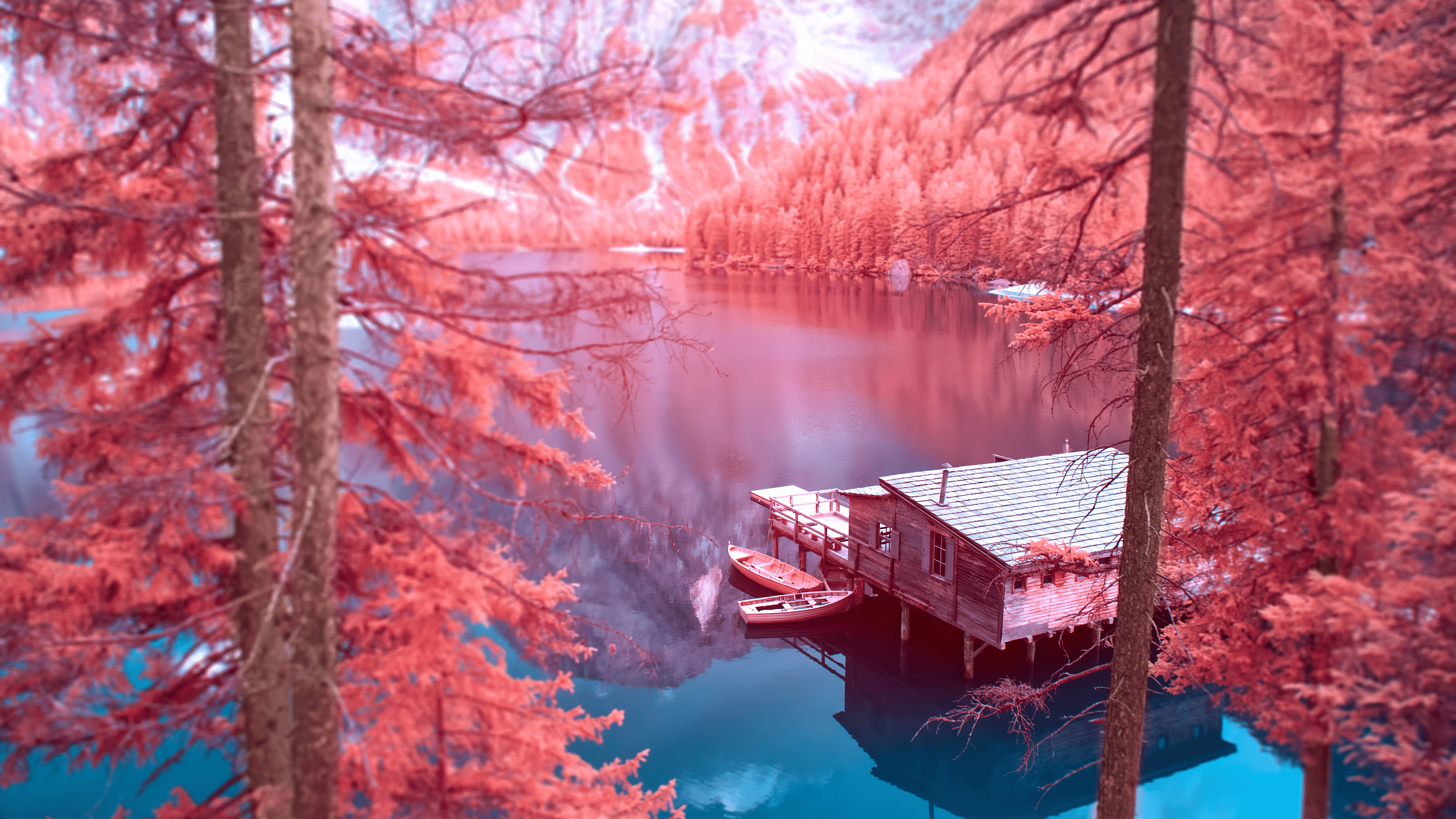 3840x2160 Free download Infrared Photography 4k Ultra HD Wallpaper Background Image [3840x2160] for your Desktop, Mobile & Tablet. Explore Infrared Background