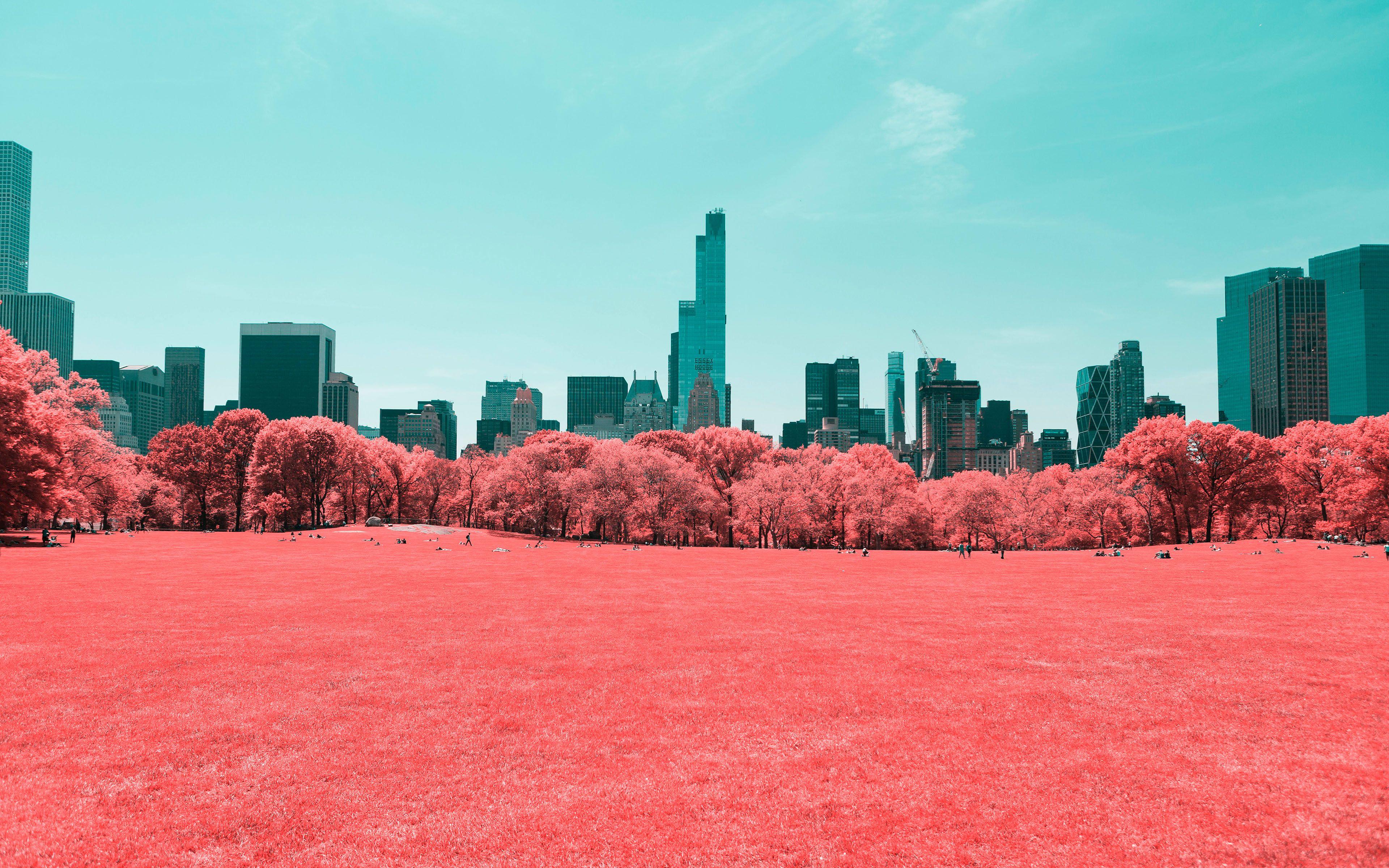 Infrared Wallpapers - Top Free Infrared Backgrounds - WallpaperAccess