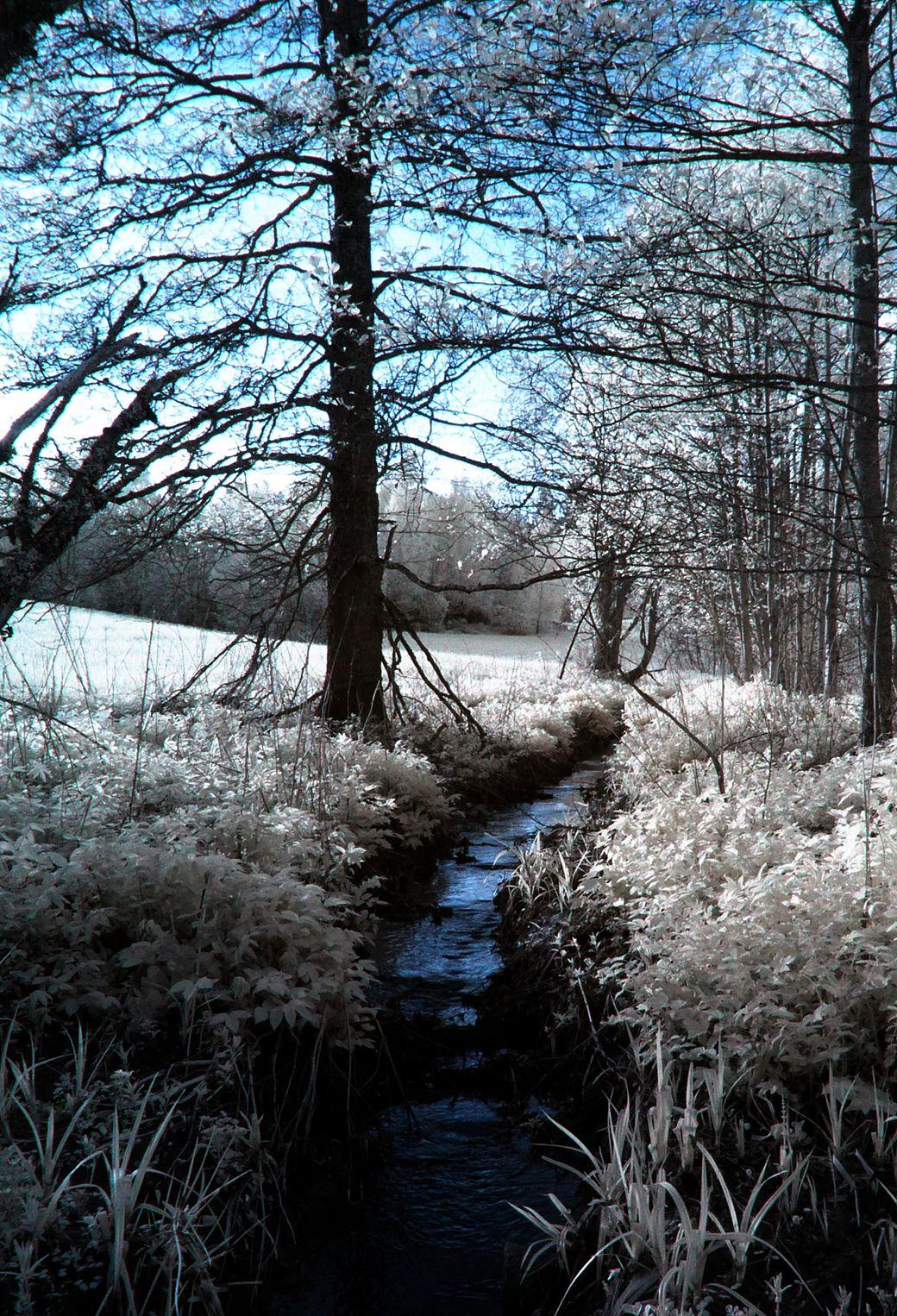 1040x1526 Infrared Photography Wallpaper for iPhone Pro Max, X, 6