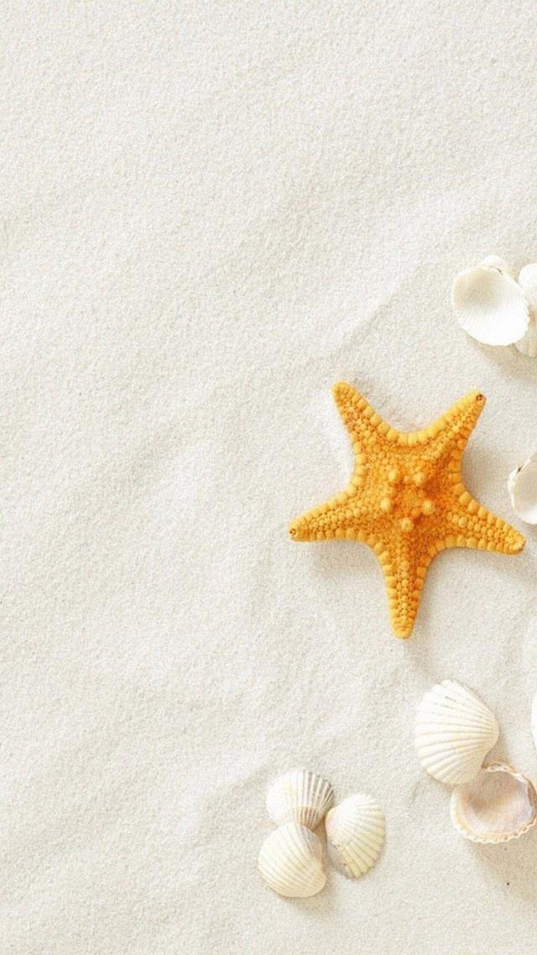 Sea Star Wallpapers - Top Free Sea Star Backgrounds - WallpaperAccess
