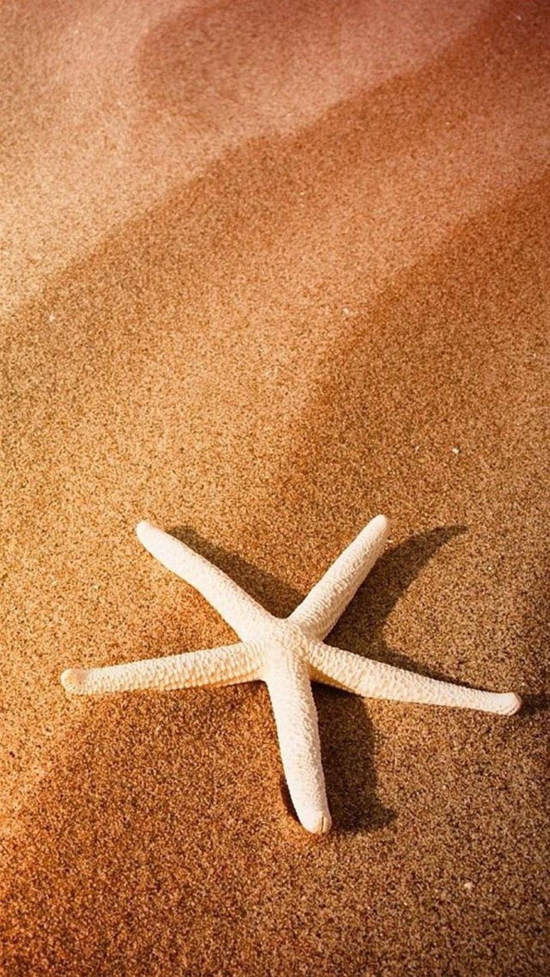 Sea Star Wallpapers - Top Free Sea Star Backgrounds - WallpaperAccess