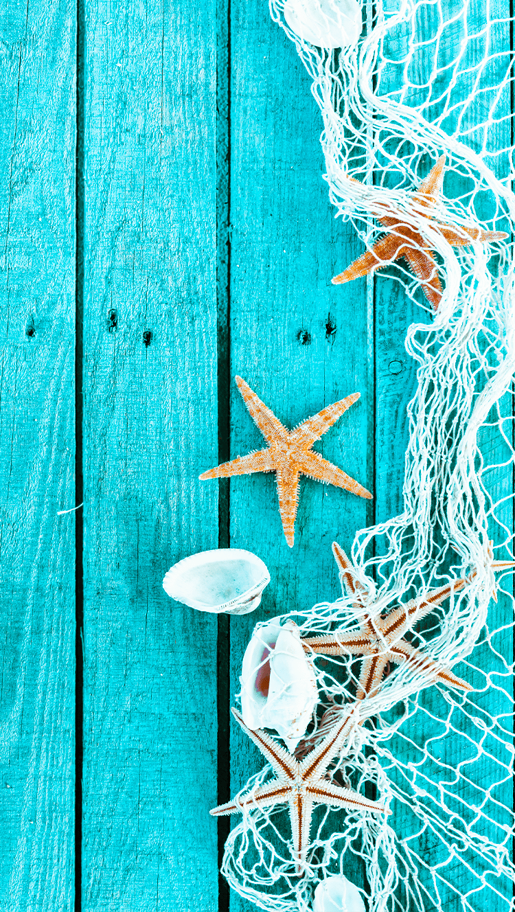 750x1328 ↑↑TAP AND GET THE FREE APP! Art Creative Sea Star Blue Wood Shell HD iPhone 6 Wallpaper. Papeis de parede, Papel de parede de verão, Papel de parede praia