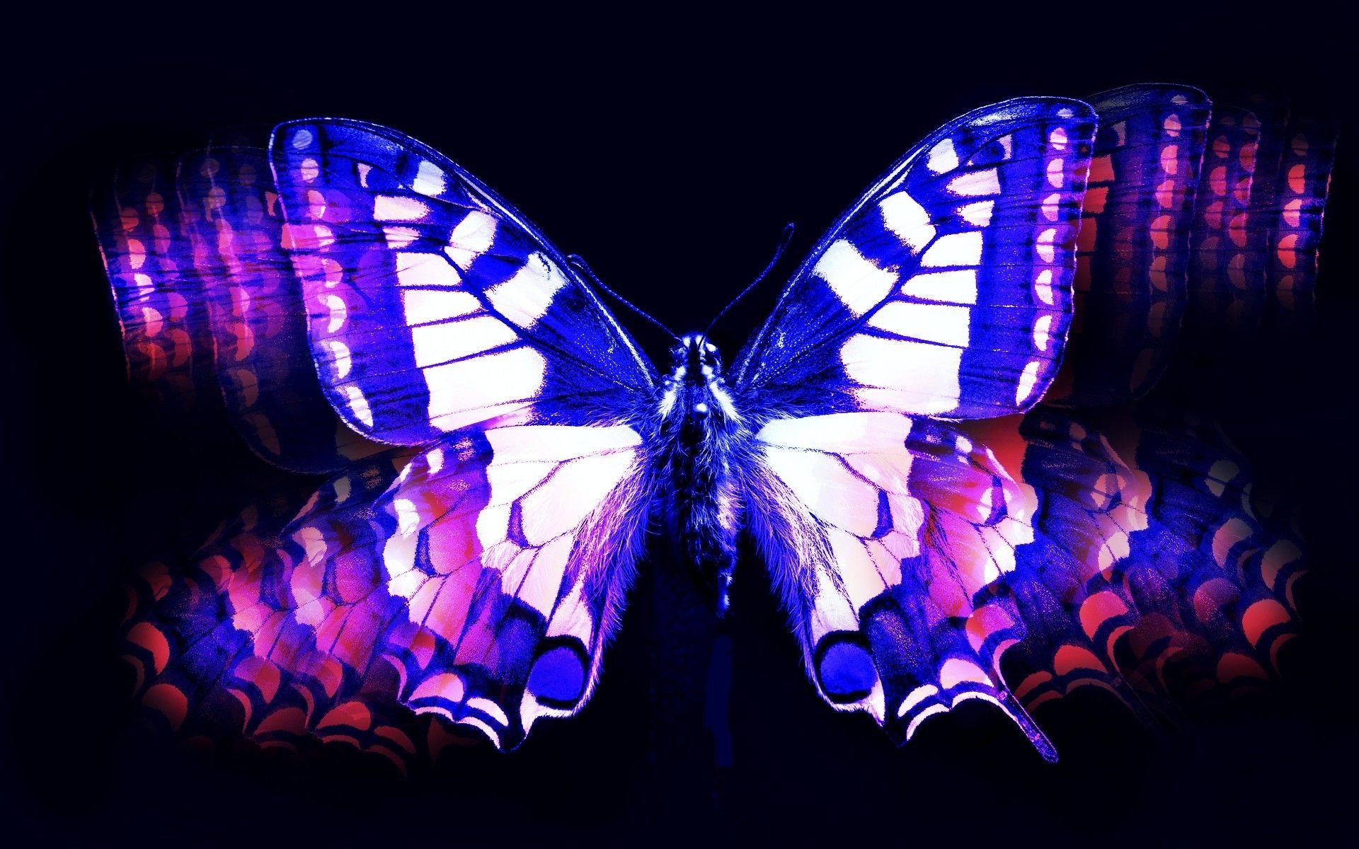 1920x1200 Pink And Blue Butterfly Wallpaper