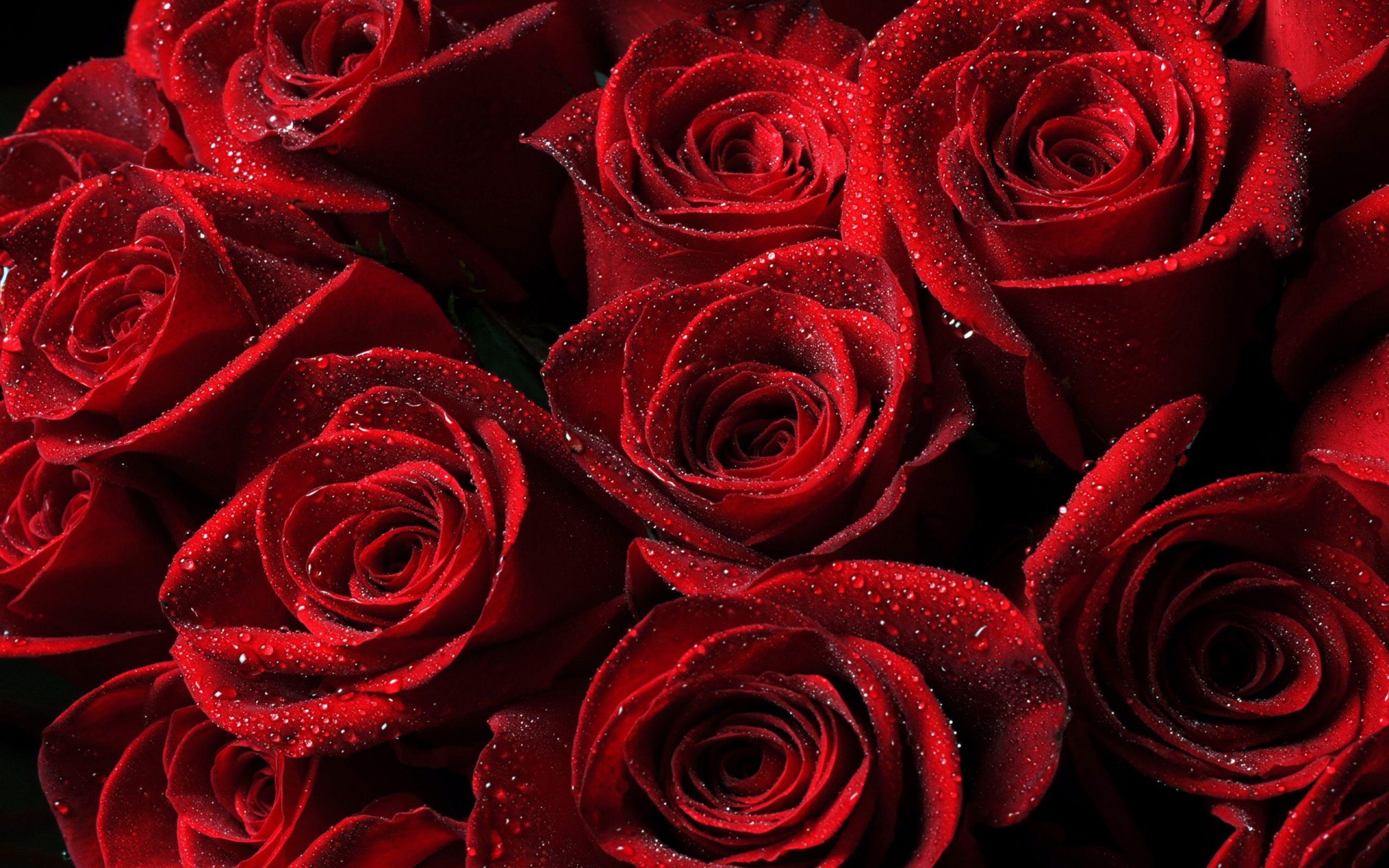 3840x2400 Black And Rose Gold Laptop Wallpaper