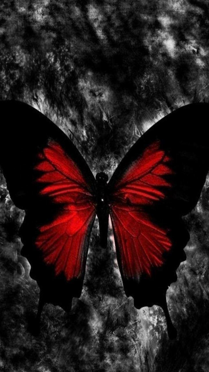 720x1280 Gothic Butterfly Wallpaper
