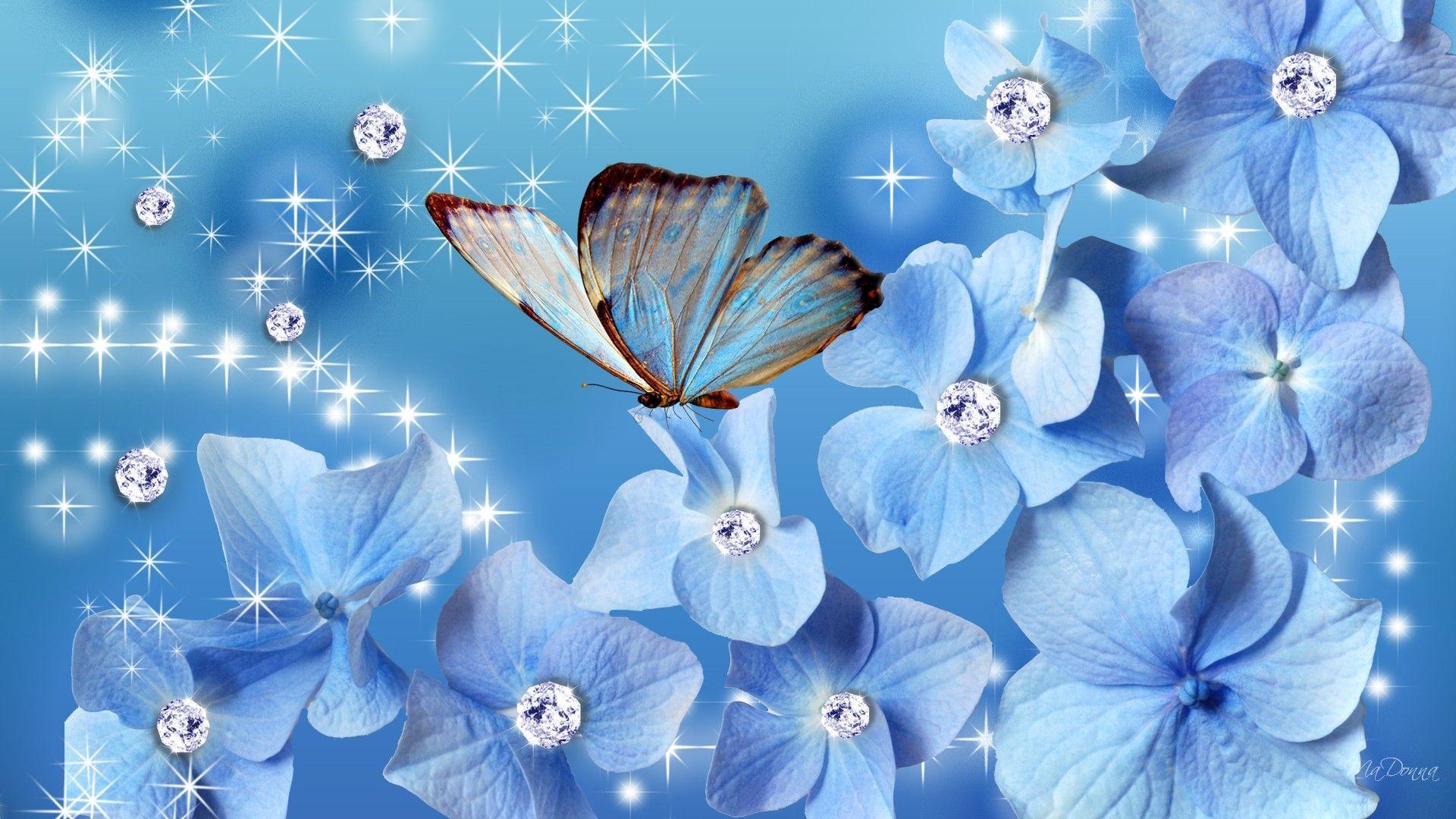 1920x1080 3D Abstract Butterfly Wallpaper Blue High Definition Amazing Cool Colourful Background Photo Free Best Windows 1920x1080. Full HD Wallpaper