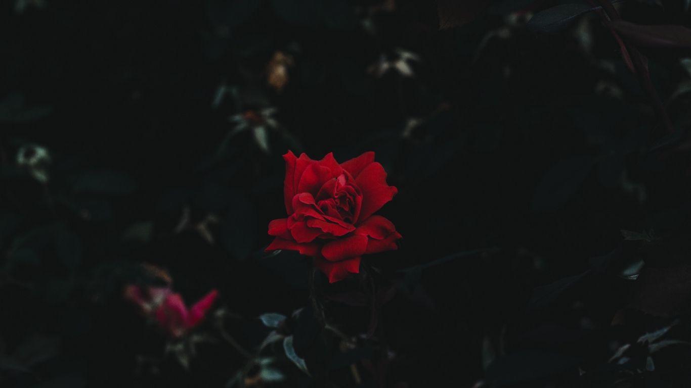 1366x768 Dark Laptop Wallpaper