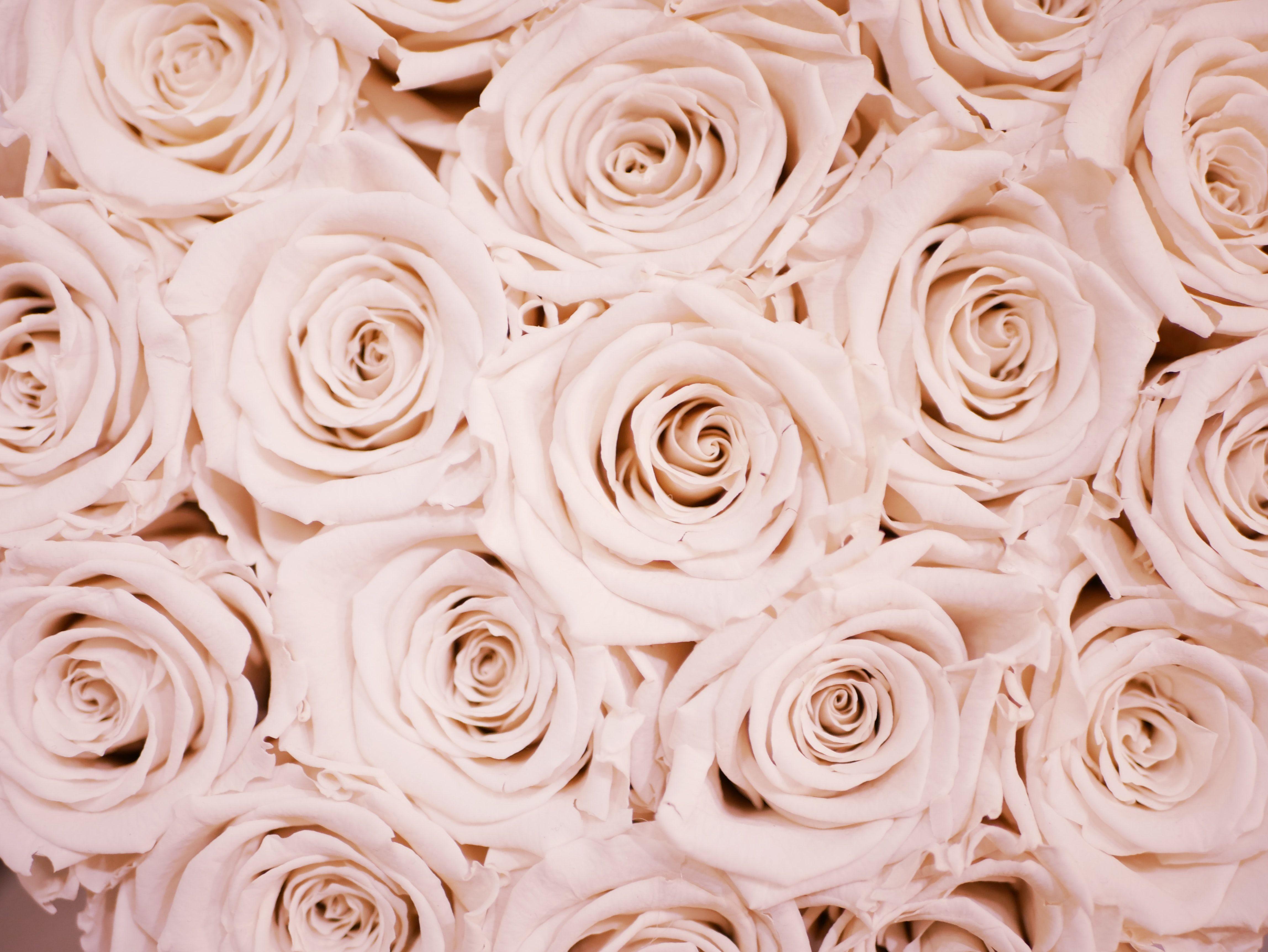 4592x3448 Laptop Laptop Rose Gold Aesthetic Wallpaper