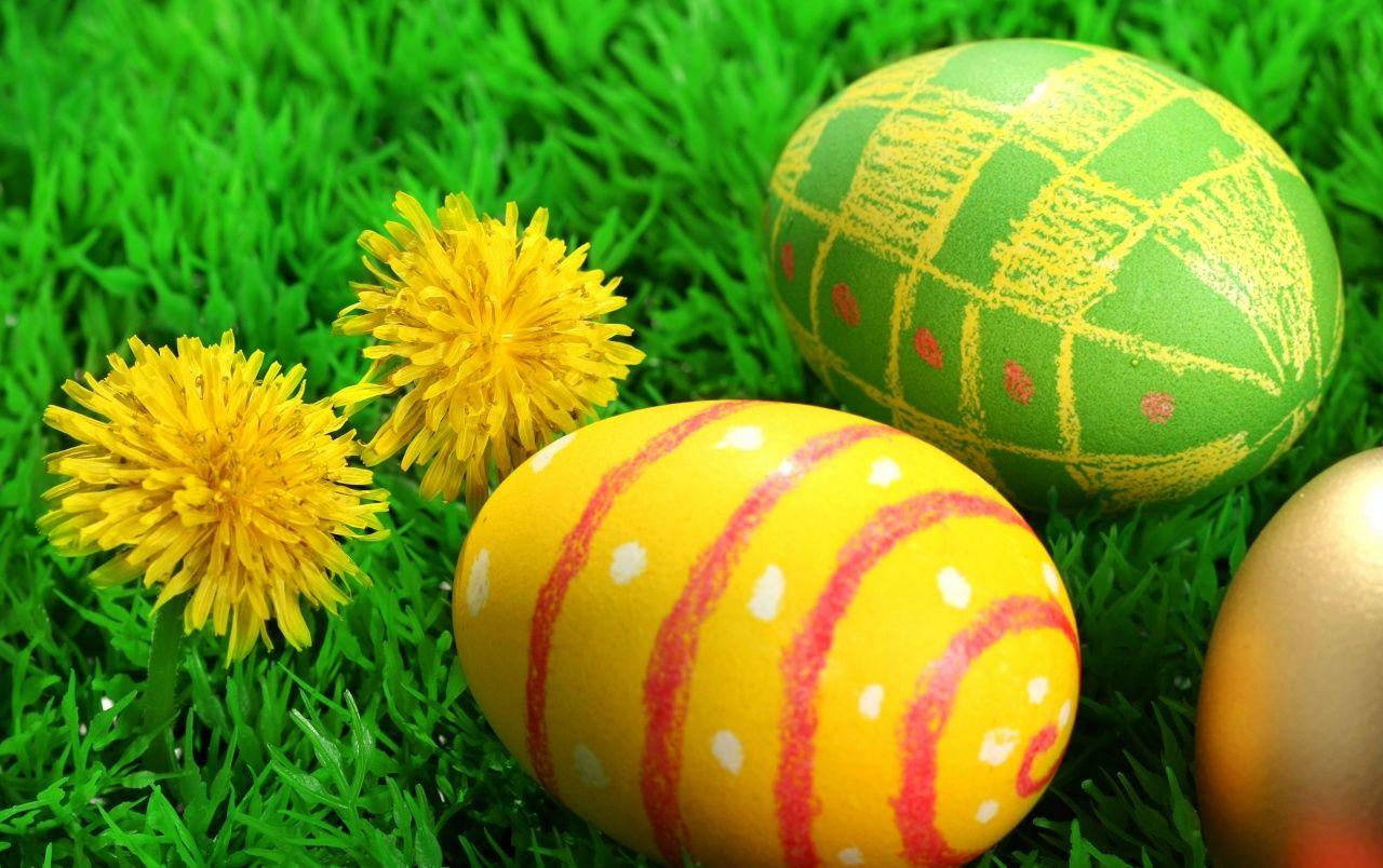 1280x804 Two flowers and three easter eggs wallpaper. Two flowers and three easter eggs
