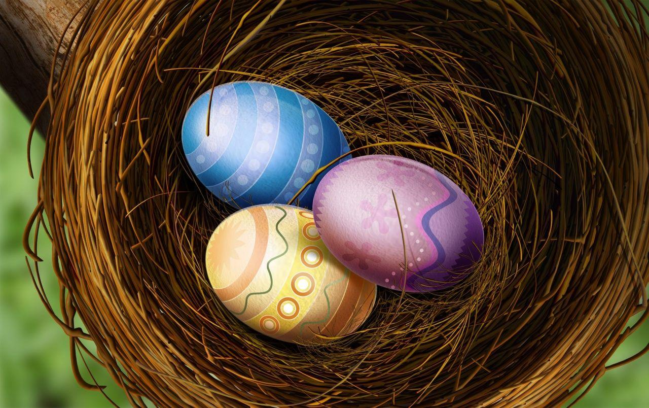 1280x804 Easter eggs in nest wallpaper. Easter eggs in nest