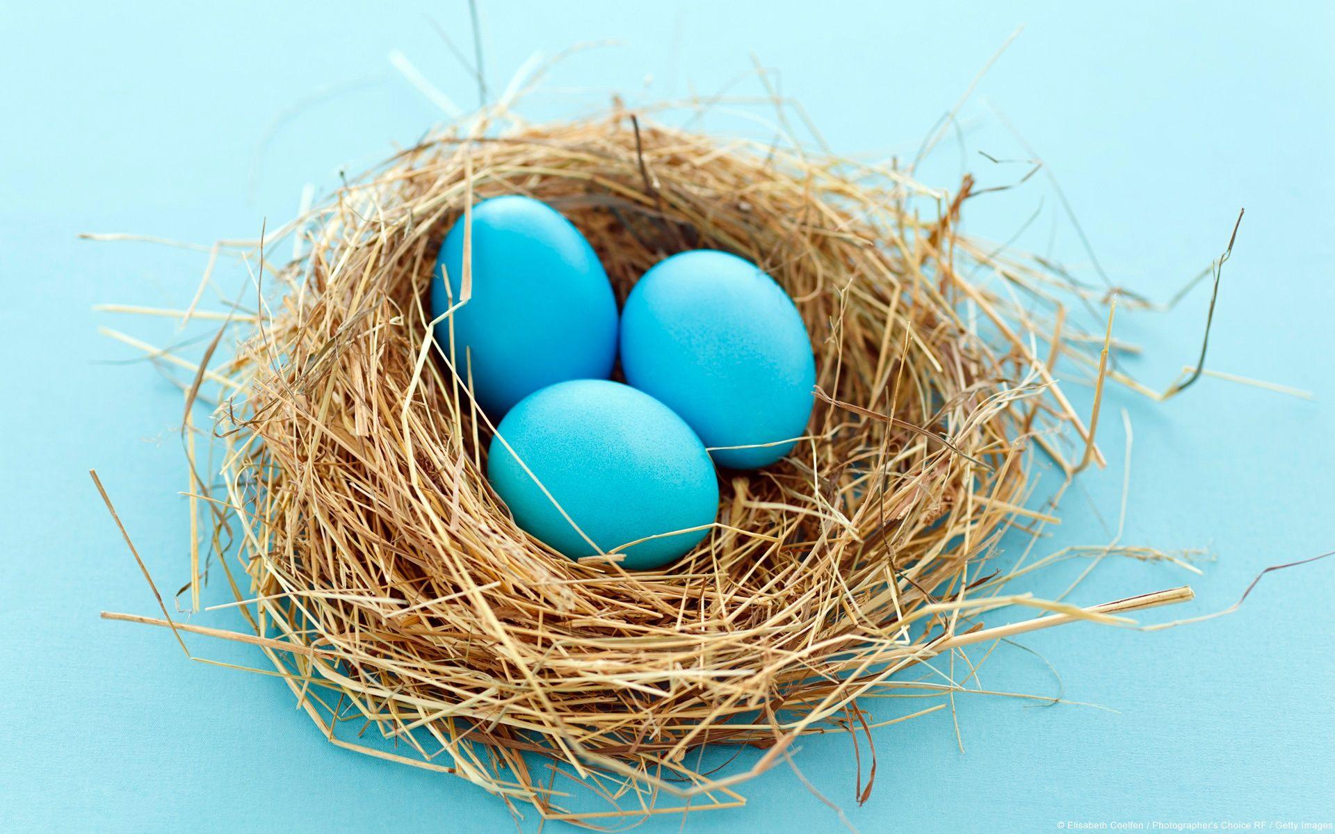 1920x1200 Eggs Wallpaper in jpg format for free download