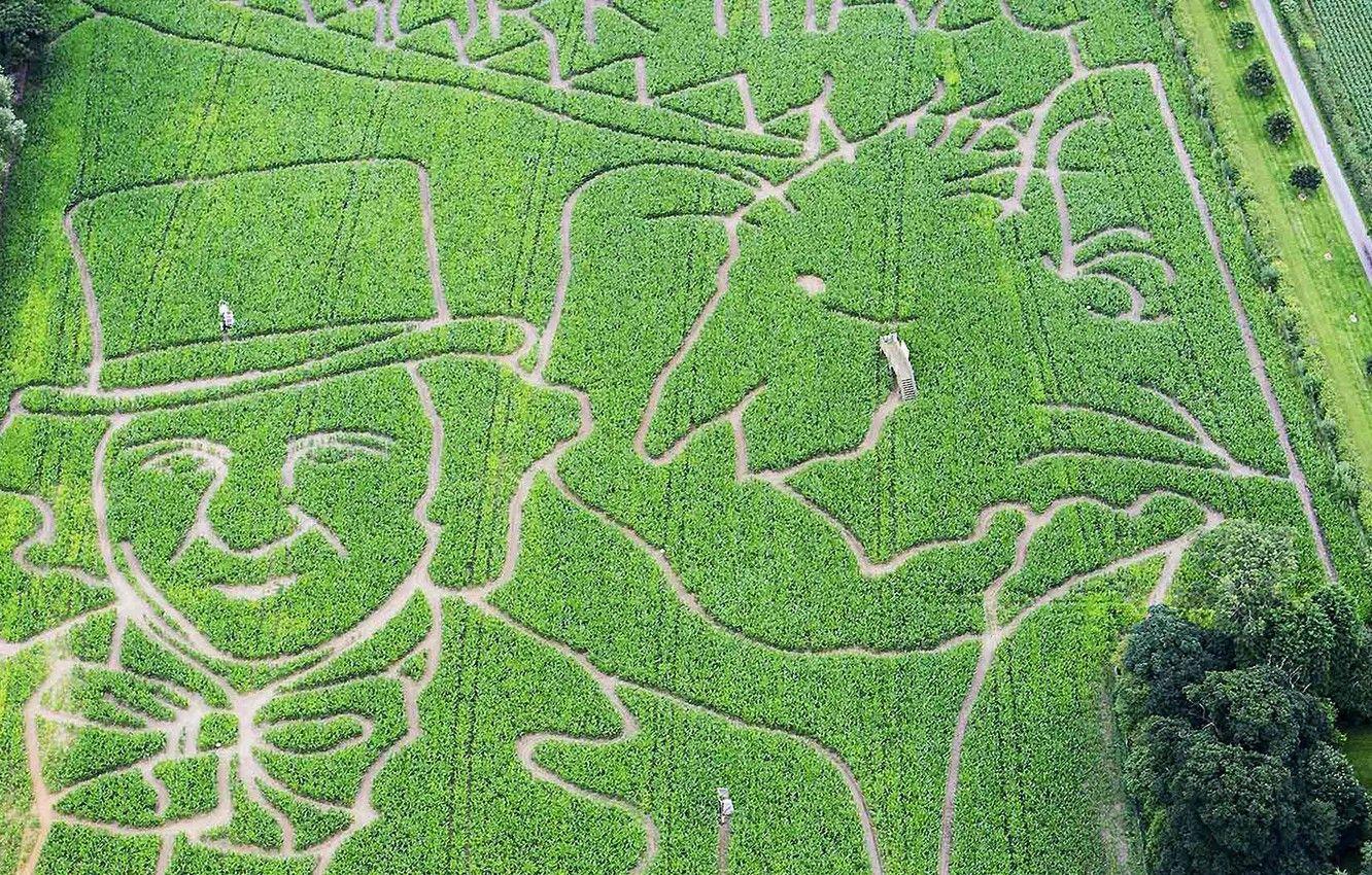 1332x850 Wallpaper England, York, Roald Dahl, maze image for desktop, section разное
