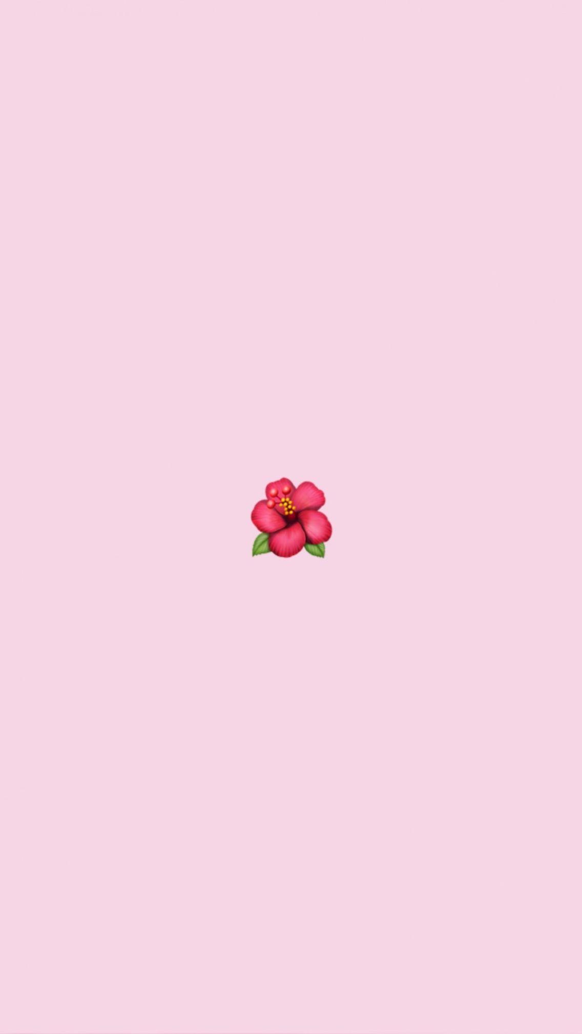 1136x2017 Vsco Wallpaper