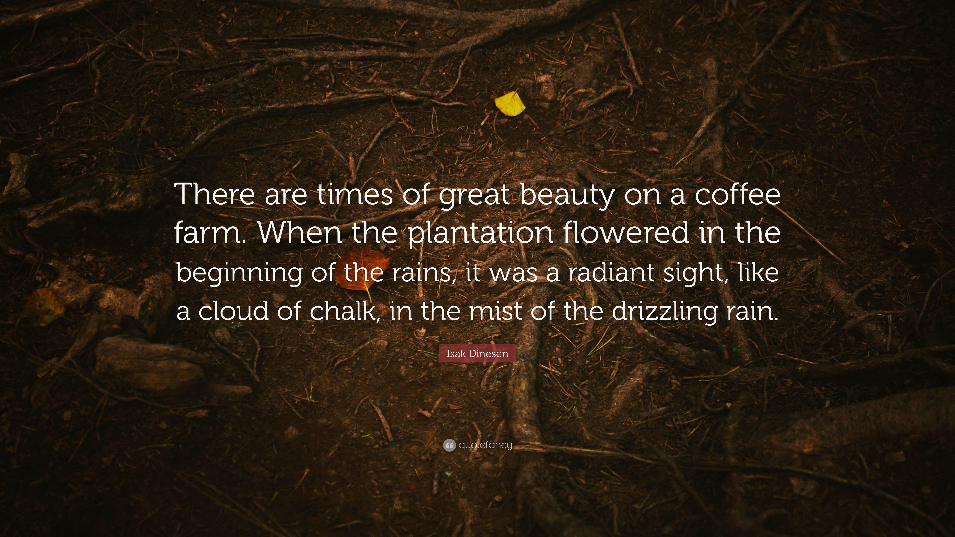 3840x2160 Isak Dinesen Quote: “There are times of great beauty on a coffee farm. When the plantation flowered in the beginning of the rains, it was a r.”