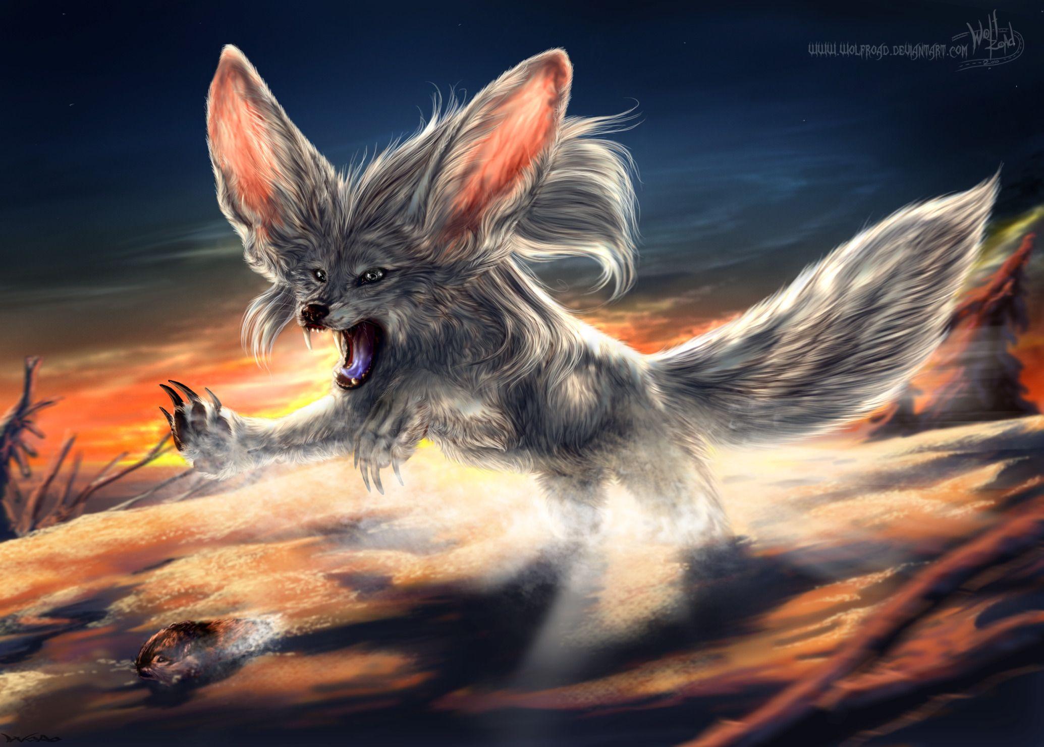 2069x1481 Beautiful desktop wallpaper of Fennec fox, wallpaper of Desert Fox, Fenech