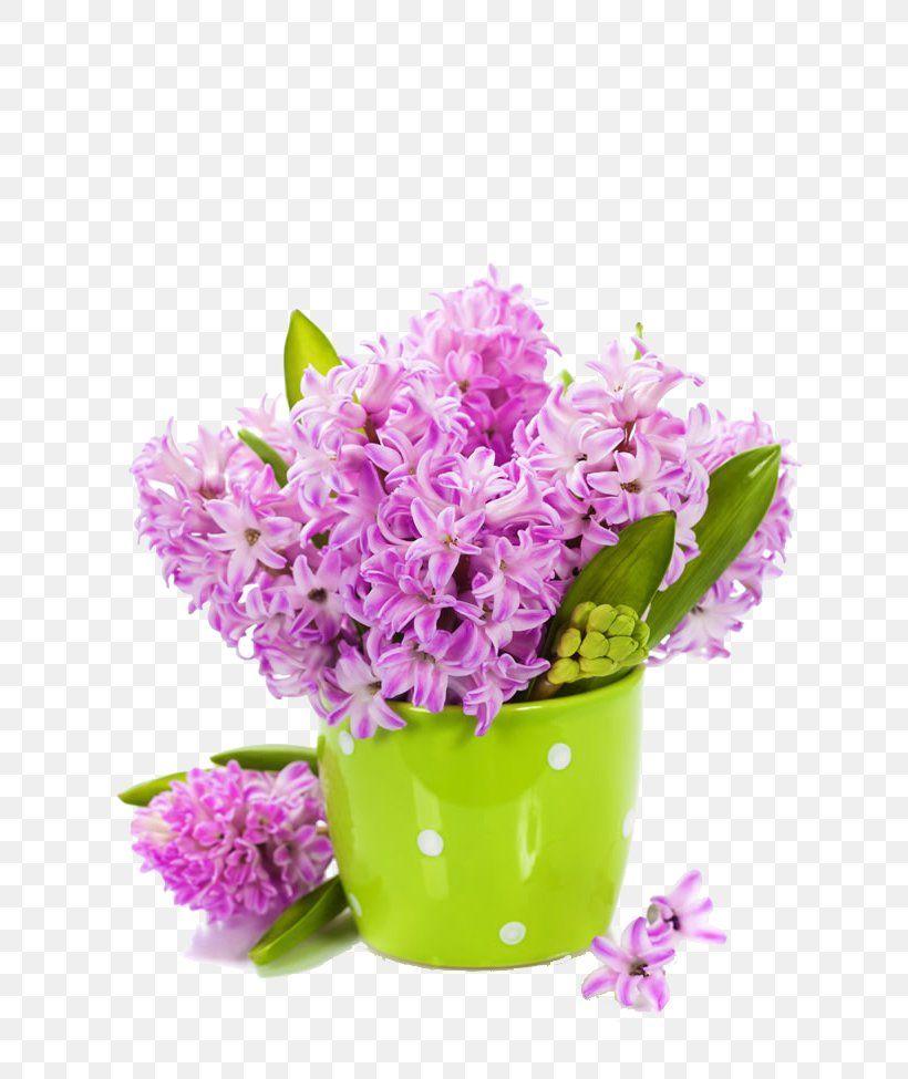 820x975 Tulip Flower Lilac Hyacinth Wallpaper, PNG, 650x975px, Tulip, Artificial Flower, Blue, Chrysanths, Cut Flowers Download Free