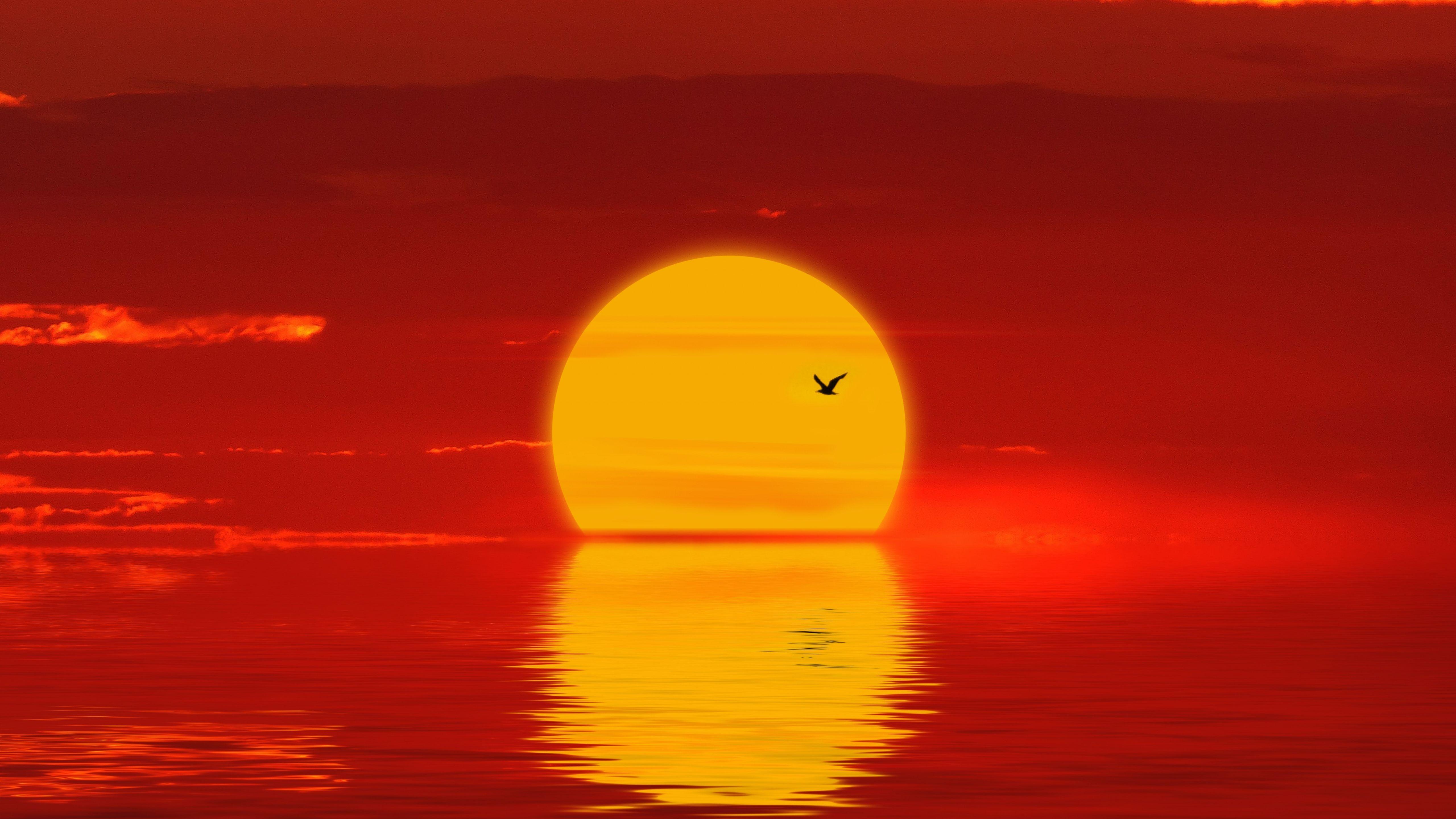 Yellow Sunset Wallpapers - Top Free Yellow Sunset Backgrounds