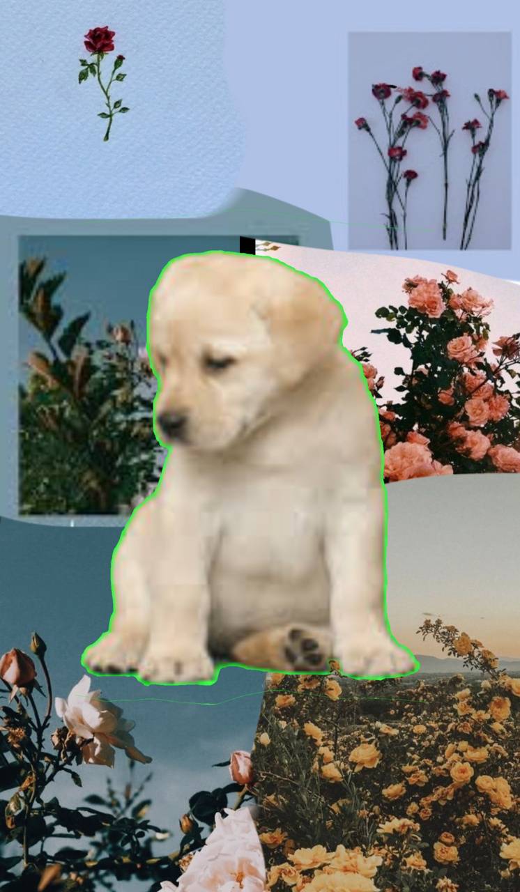 746x1280 Download Aesthetic Doggy Wallpaper HD By Madmadaleine. Wallpaper