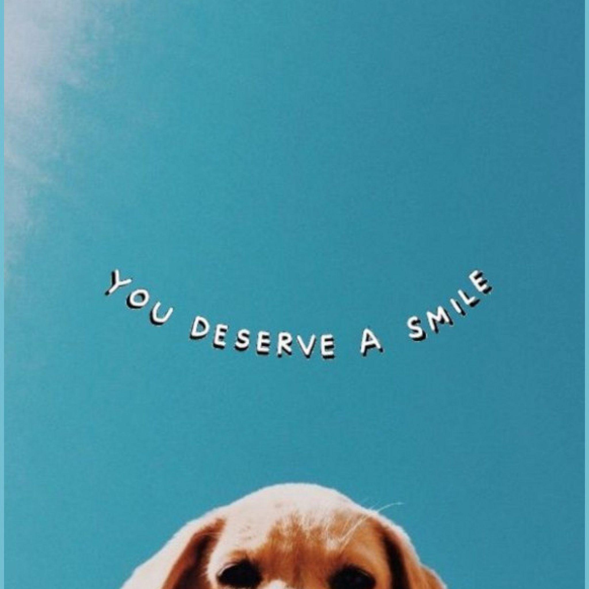 2048x2048 VSCO Cute Dog Wallpaper, Puppy Wallpaper Dog Background